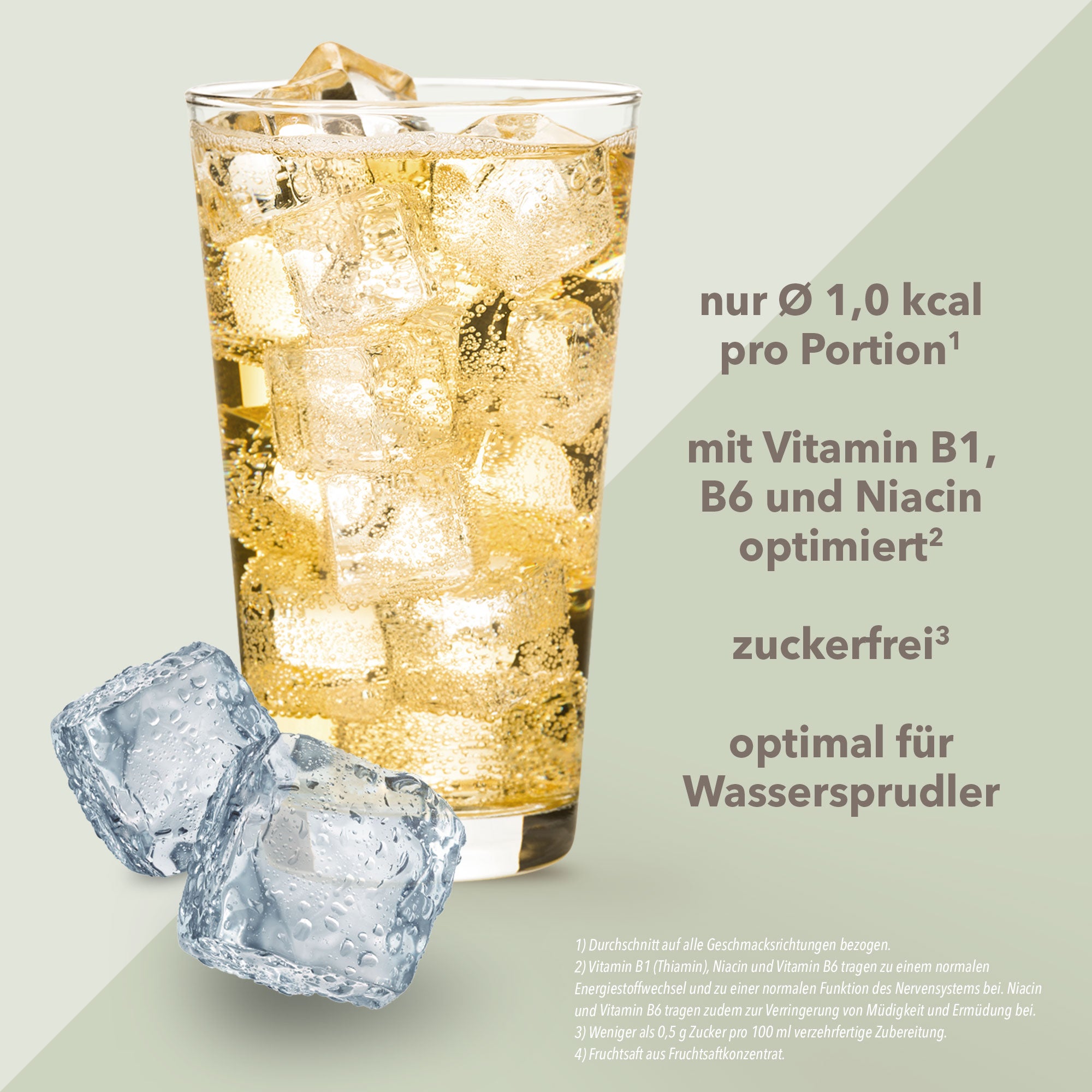 Vital Drink Zerop - Ginger Ale - 48 ml Squeeze Flasche#geschmack_ginger-ale