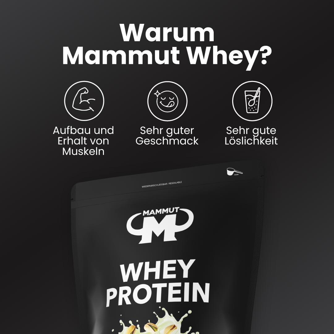 Whey Protein - Pistachio - 1000 g Zipp-Beutel#geschmack_pistachio