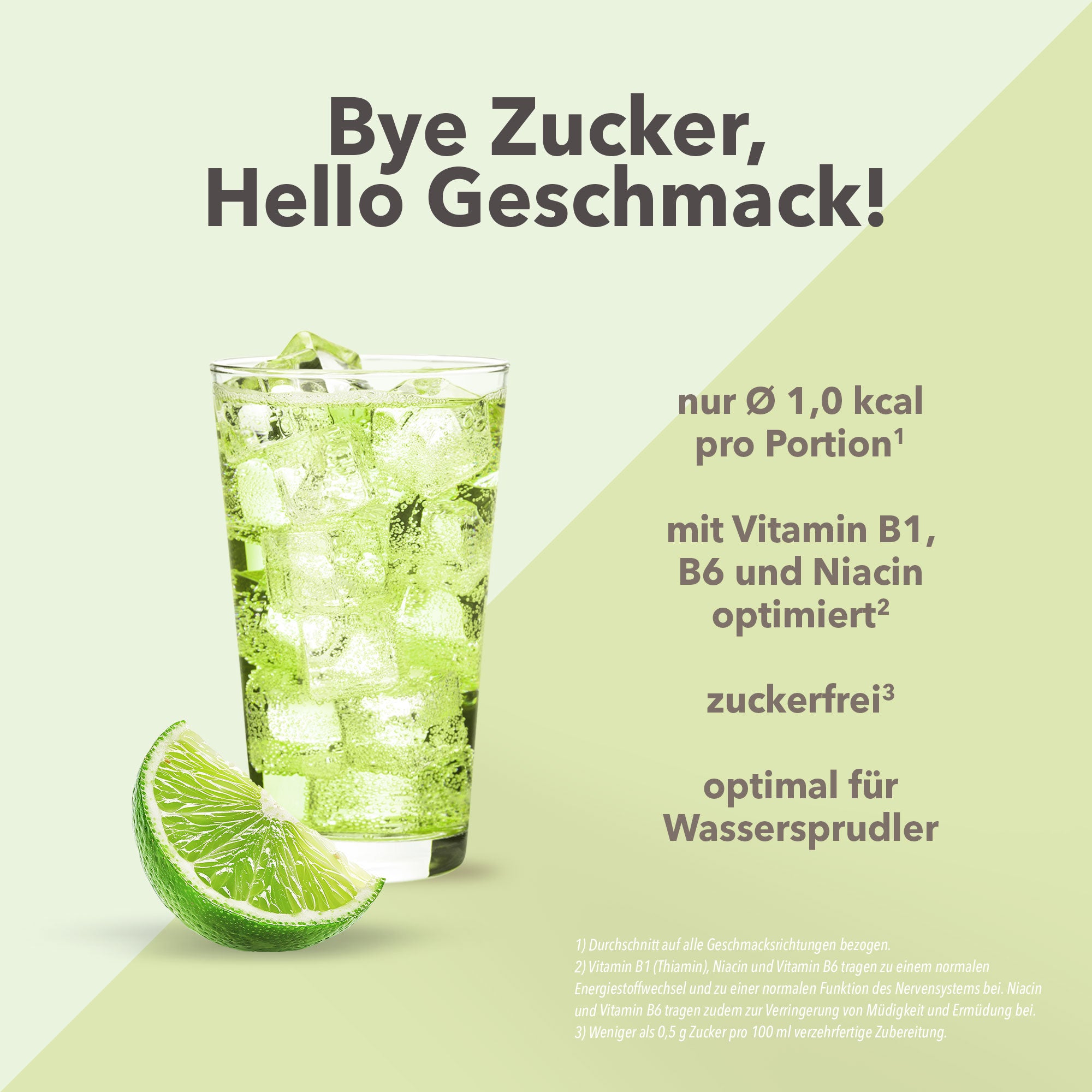 Vital Drink Zerop - Grüntee Limette - 1000 ml Flasche#geschmack_gr-ntee-limette