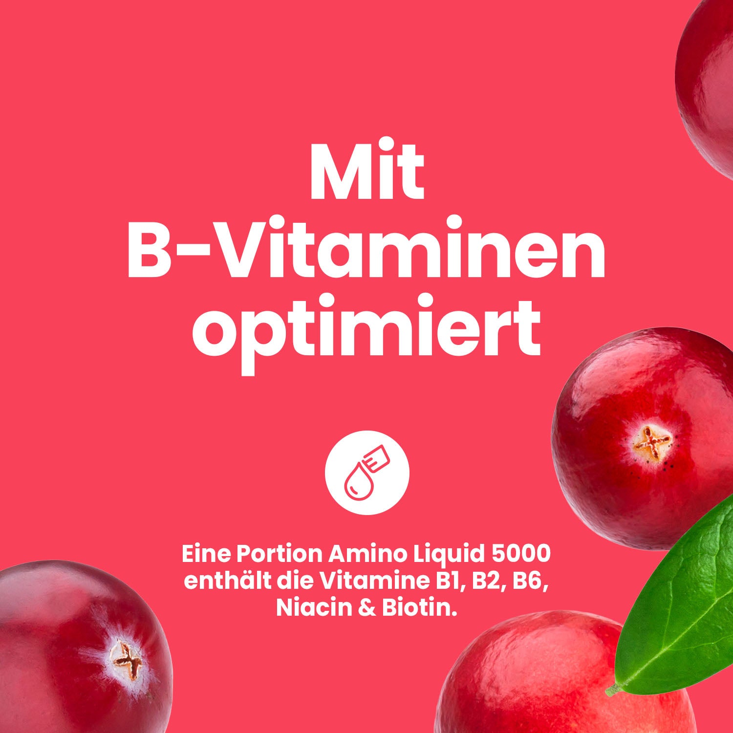 Amino Liquid 5000 - Cranberry - 1000 ml Flasche#_