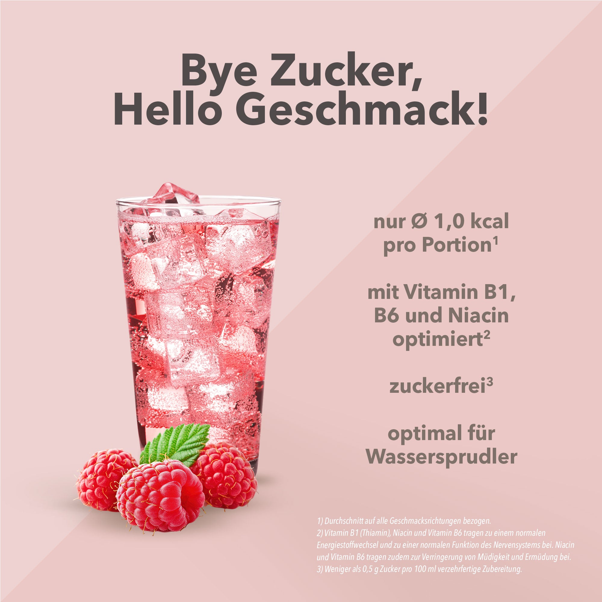 Vital Drink Zerop - Himbeere - 500 ml Flasche#geschmack_himbeere