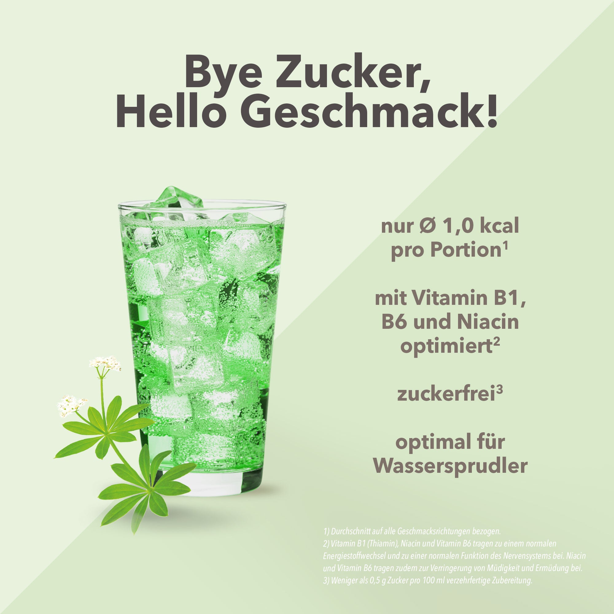 Vital Drink Zerop - Waldmeister - 1000 ml Flasche#geschmack_waldmeister