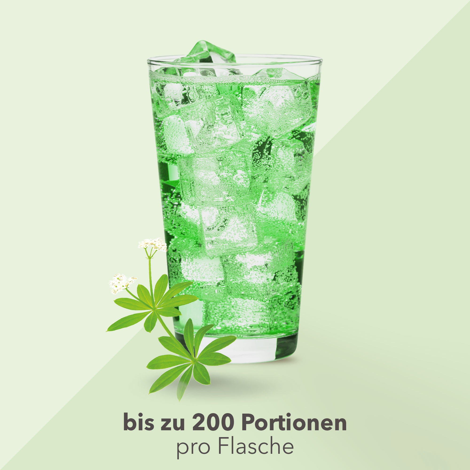 Vital Drink Zerop - Waldmeister - 1000 ml Flasche#geschmack_waldmeister