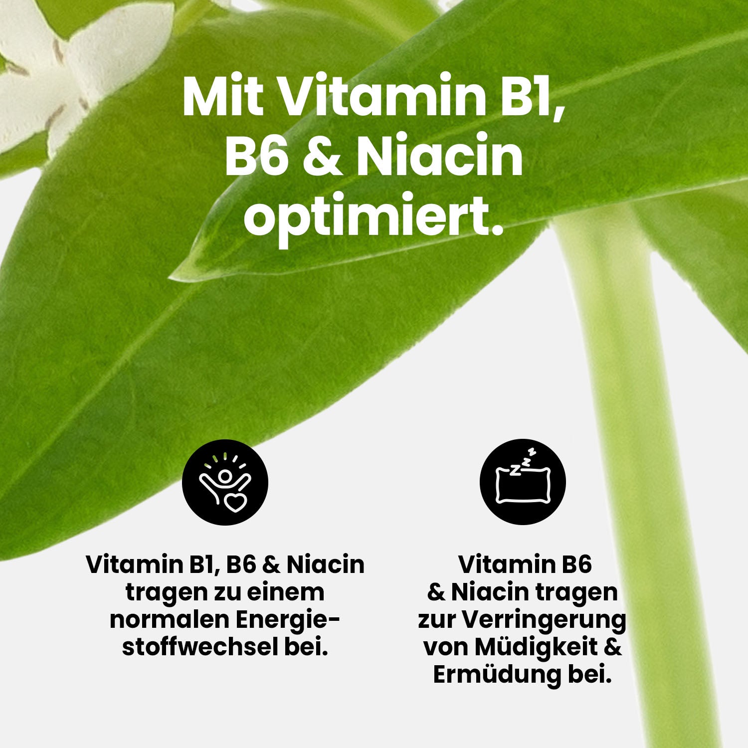 Vital Drink Zerop - Waldmeister - 1000 ml Flasche#geschmack_waldmeister