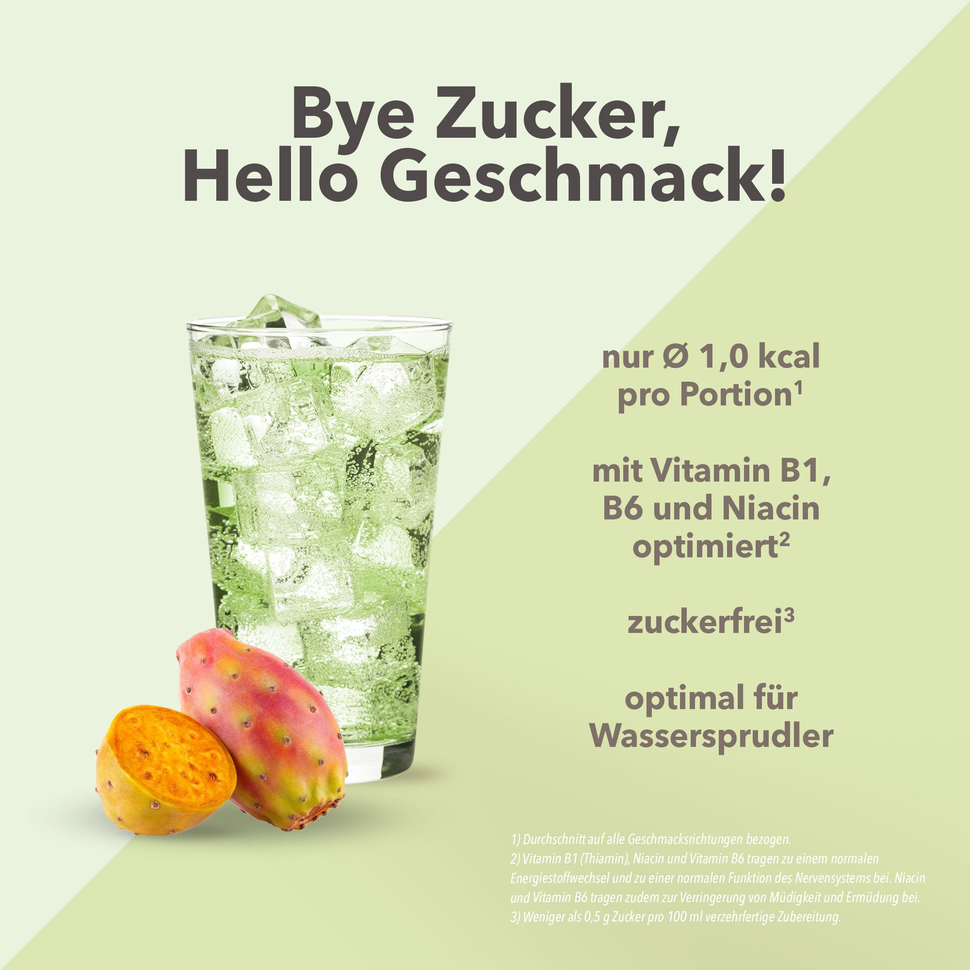 Vital Drink Zerop - Kaktusfeige - 1000 ml Flasche#geschmack_kaktusfeige