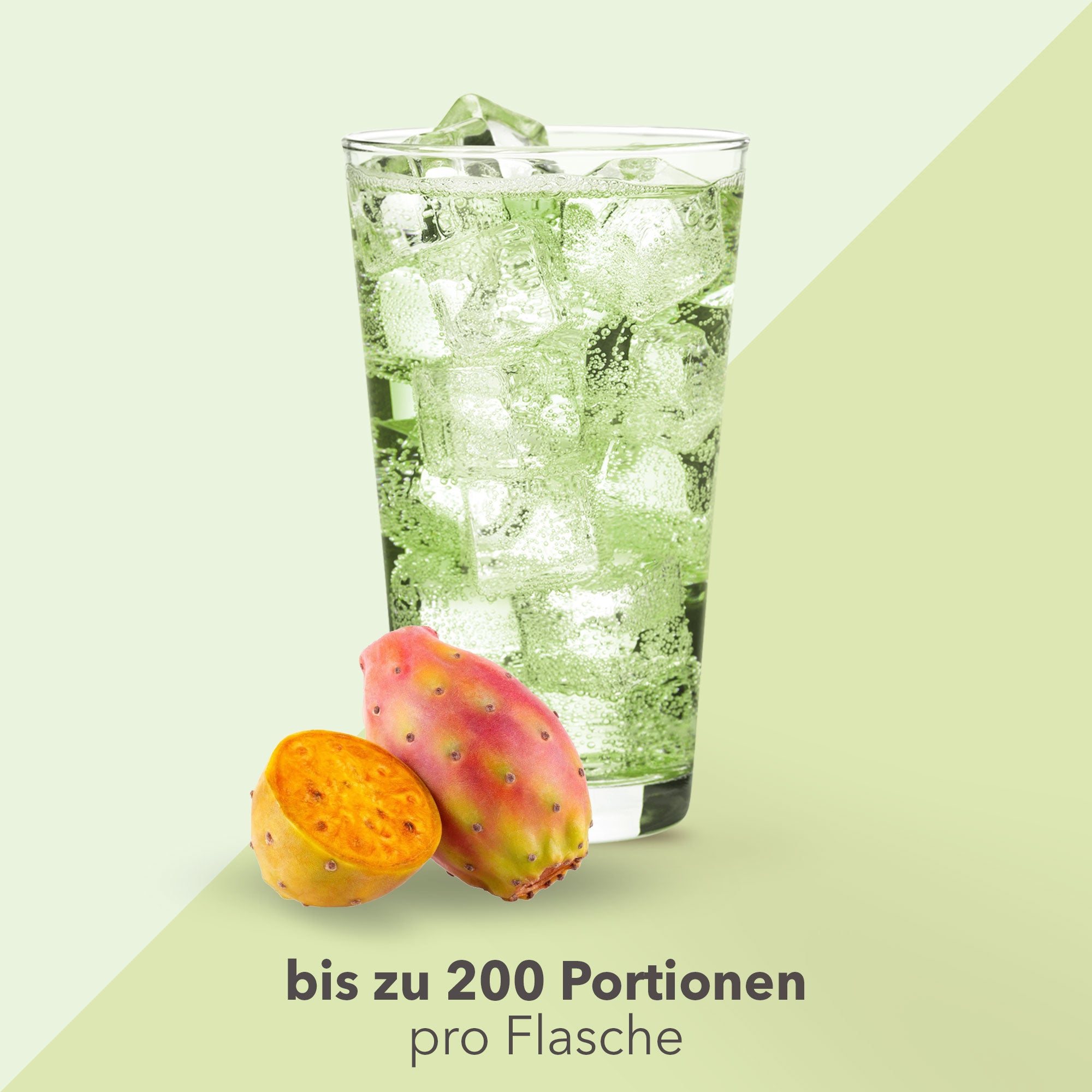 Vital Drink Zerop - Kaktusfeige - 1000 ml Flasche#geschmack_kaktusfeige