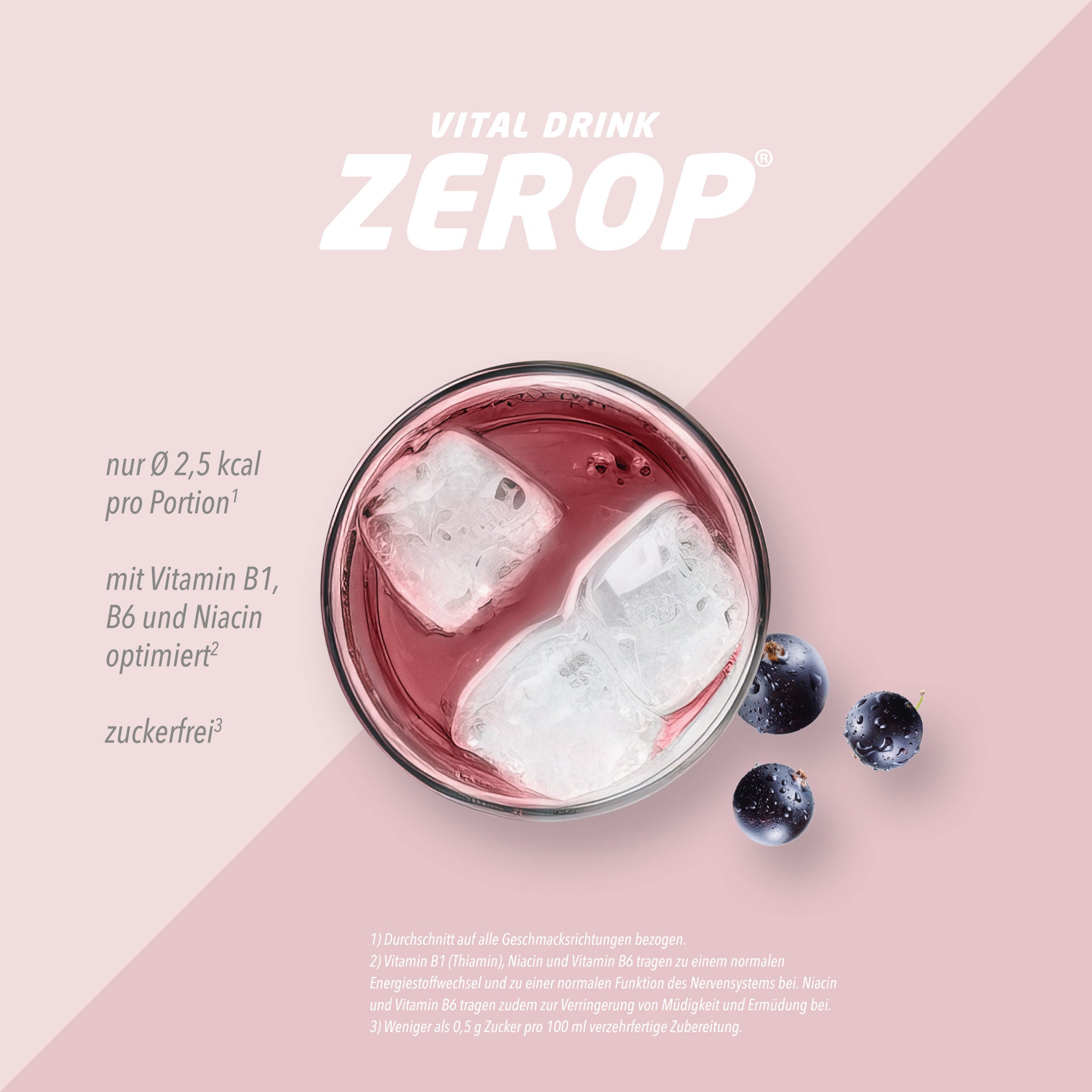 Vital Drink Zerop - Schwarze Johannisbeere - 1000 ml Flasche#geschmack_schwarze-johannisbeere