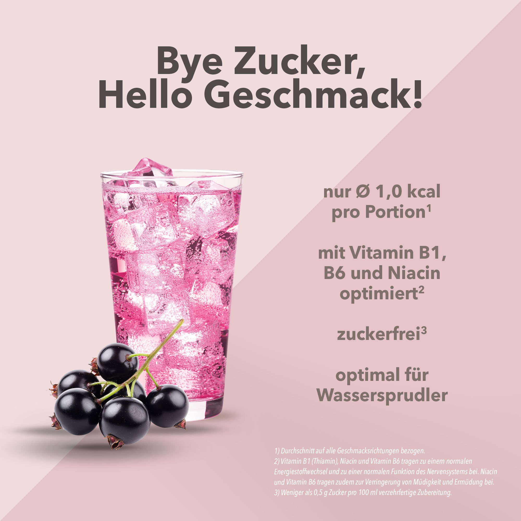 Vital Drink Zerop - Schwarze Johannisbeere - 1000 ml Flasche#geschmack_schwarze-johannisbeere