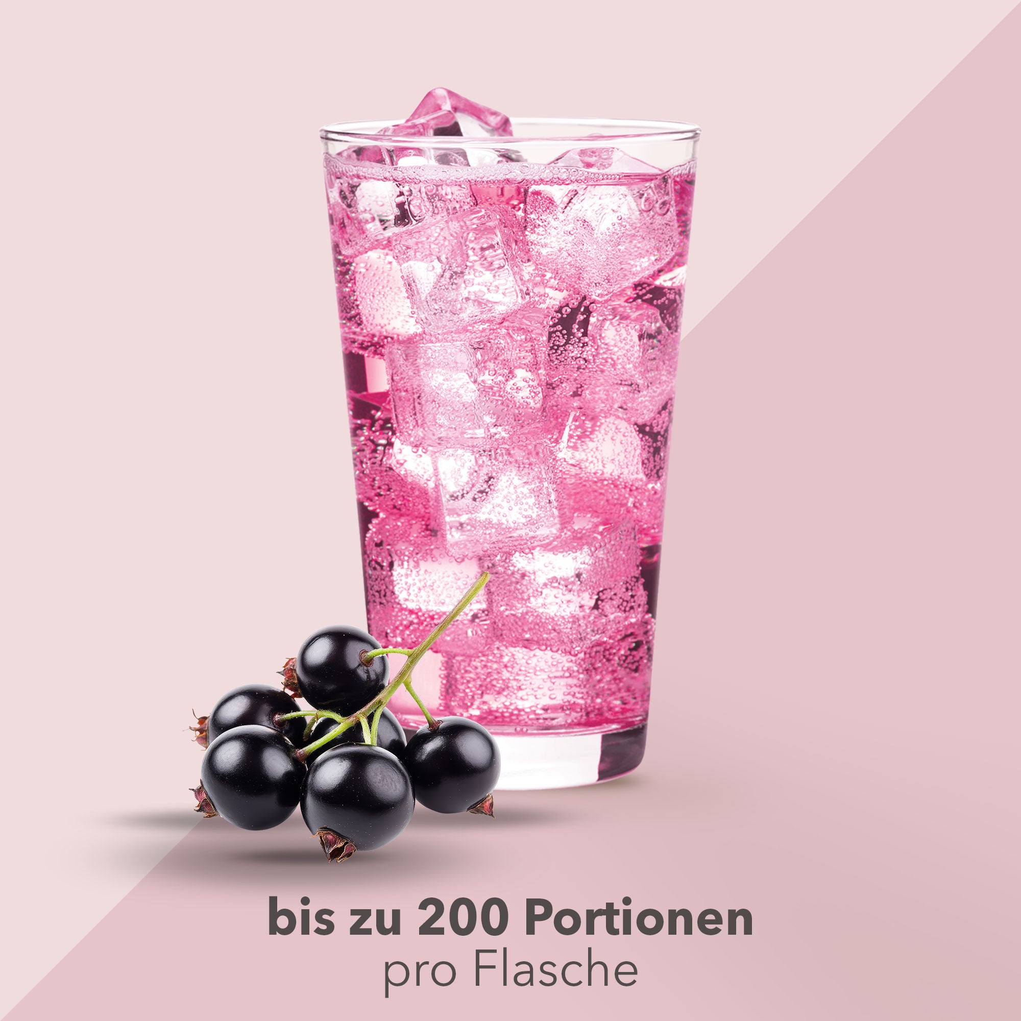 Vital Drink Zerop - Schwarze Johannisbeere - 1000 ml Flasche#geschmack_schwarze-johannisbeere