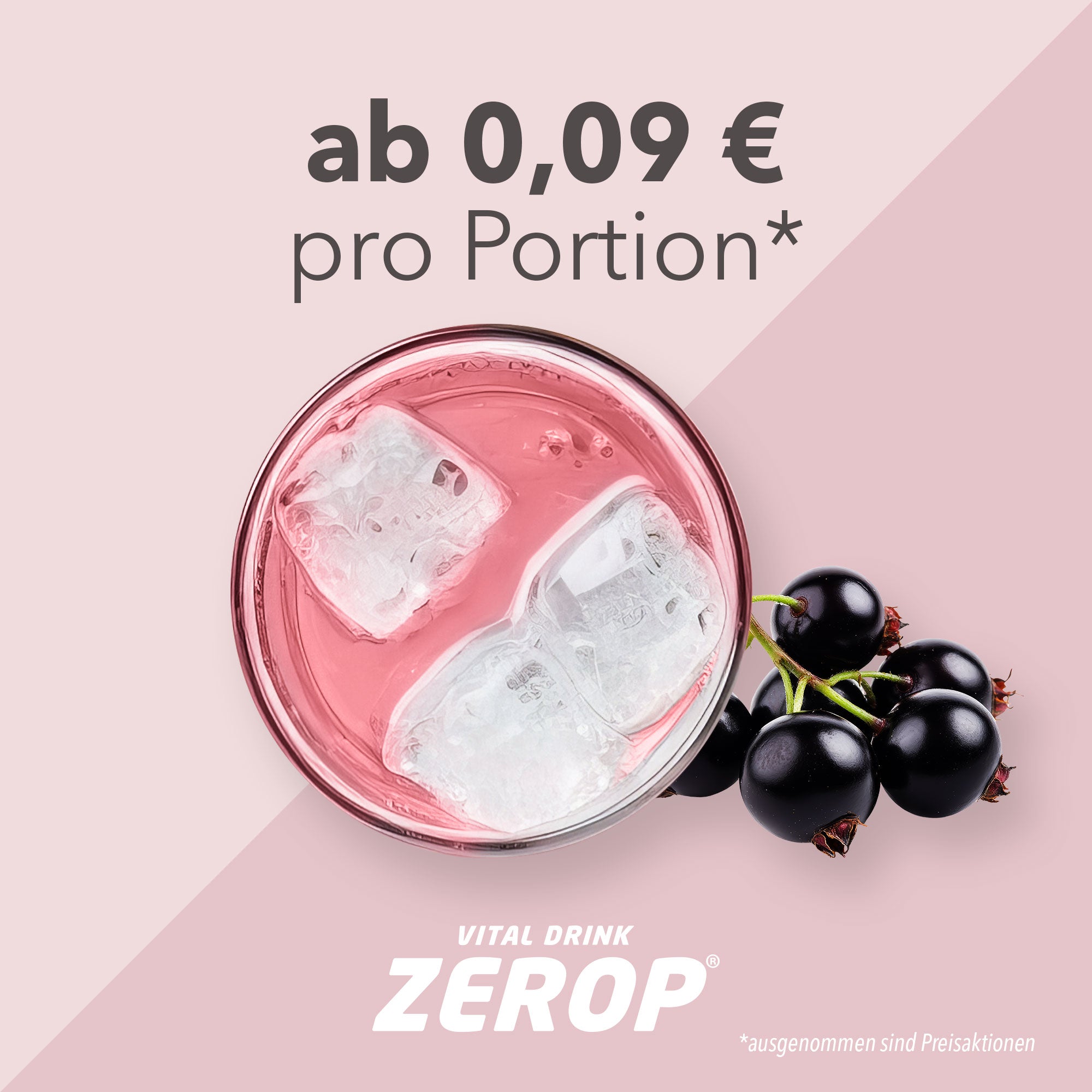 Vital Drink Zerop - Schwarze Johannisbeere - 1000 ml Flasche#geschmack_schwarze-johannisbeere