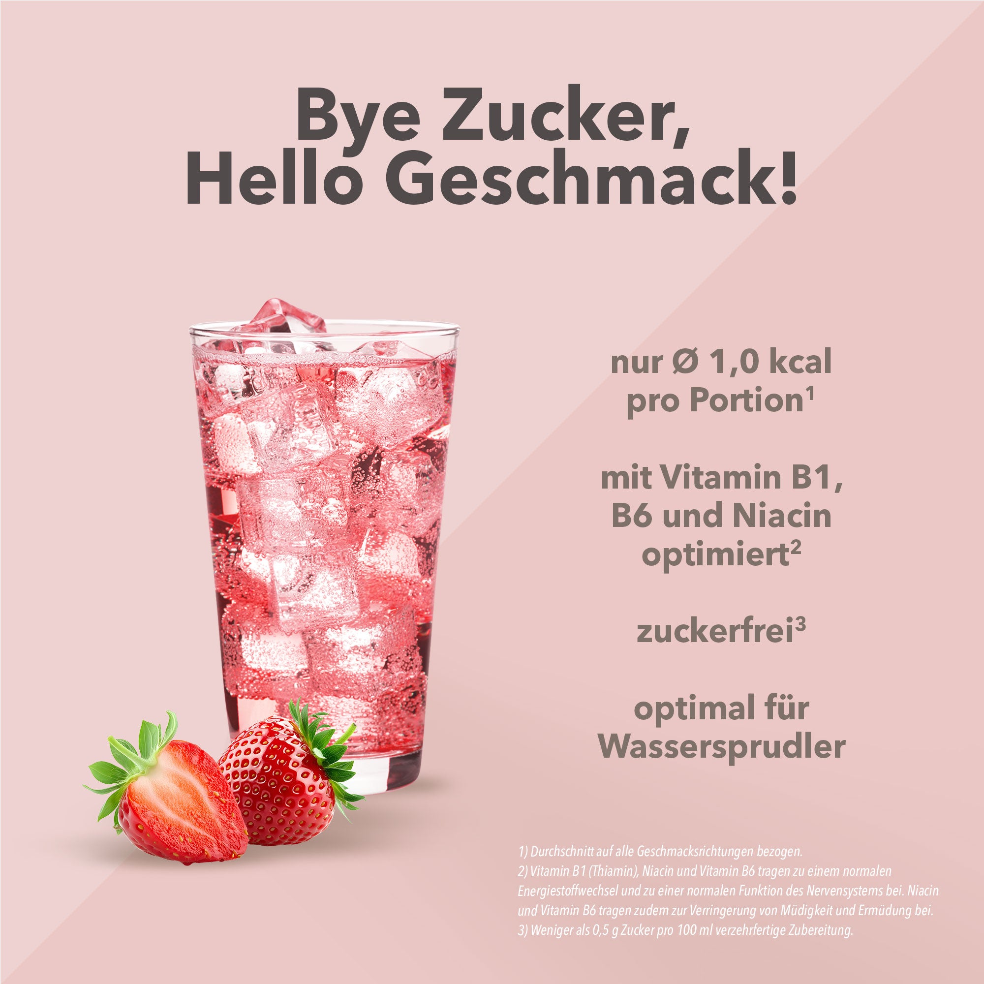 Vital Drink Zerop - Erdbeere - 1000 ml Flasche#geschmack_erdbeere