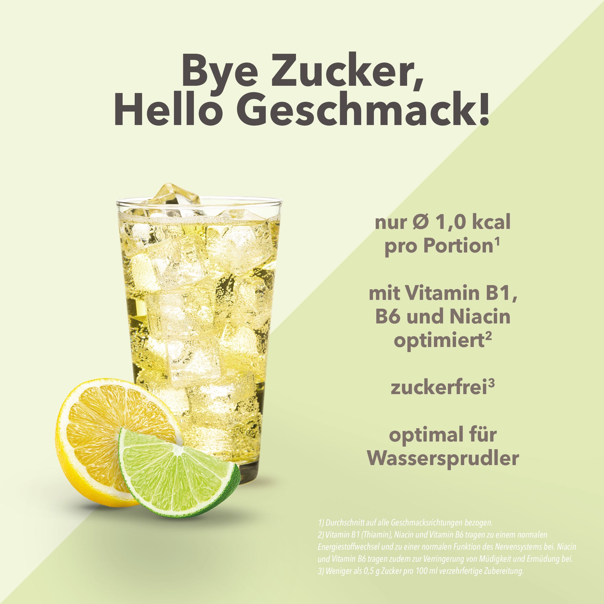 Vital Drink Zerop - Zitrone Limette - 1000 ml Flasche#geschmack_zitrone-limette
