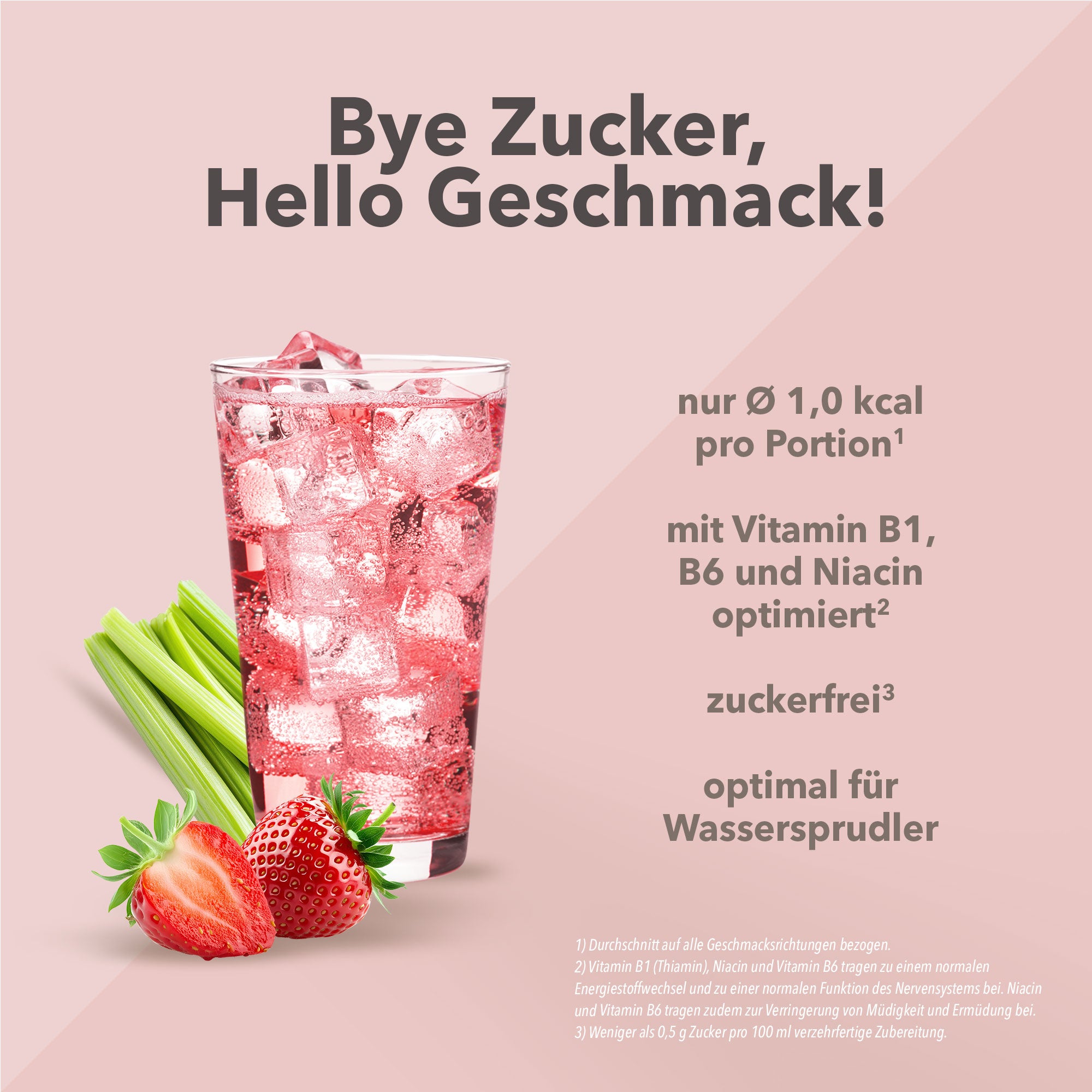 Vital Drink Zerop - Erdbeere Rhabarber - 1000 ml Flasche#geschmack_erdbeere-rhabarber