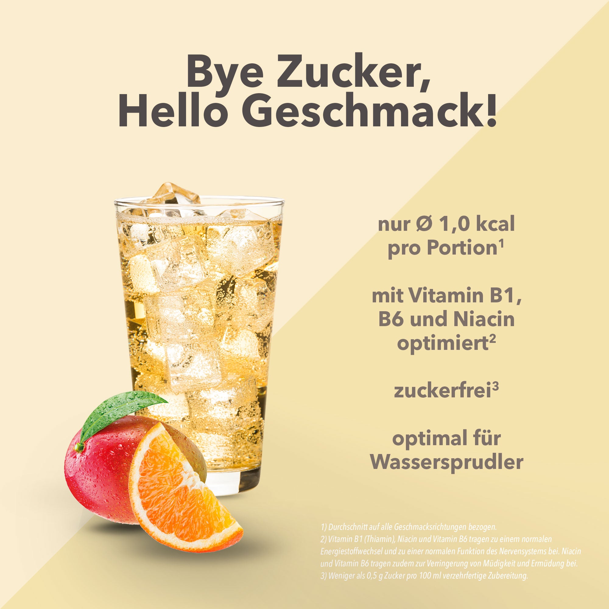 Vital Drink Zerop - Brazilian Sun - 1000 ml Flasche#geschmack_brazilian-sun