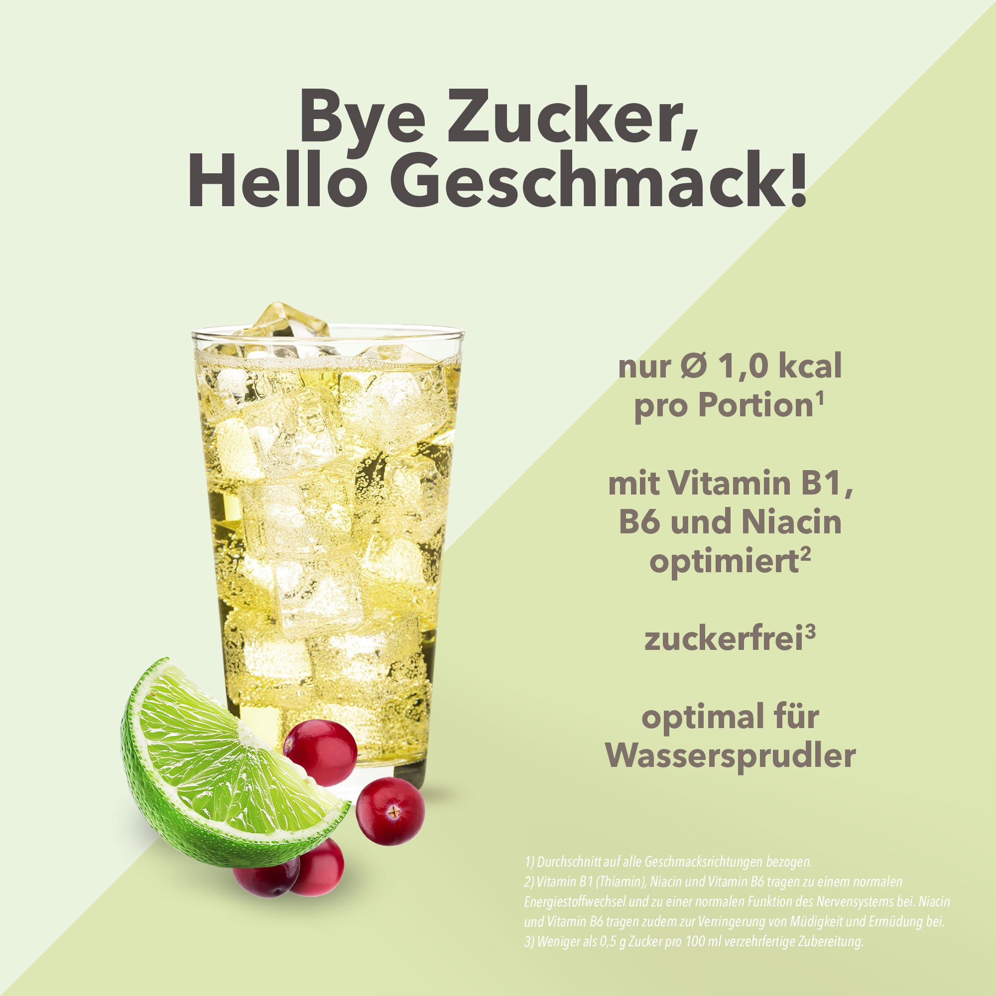 Vital Drink Zerop - Preiselbeere Limette - 1000 ml Flasche#geschmack_preiselbeere-limette