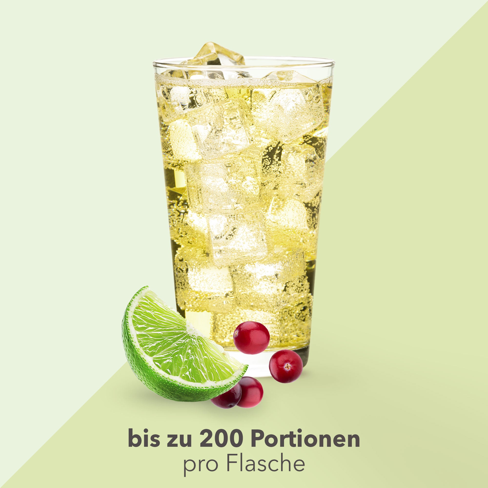 Vital Drink Zerop - Preiselbeere Limette - 1000 ml Flasche#geschmack_preiselbeere-limette