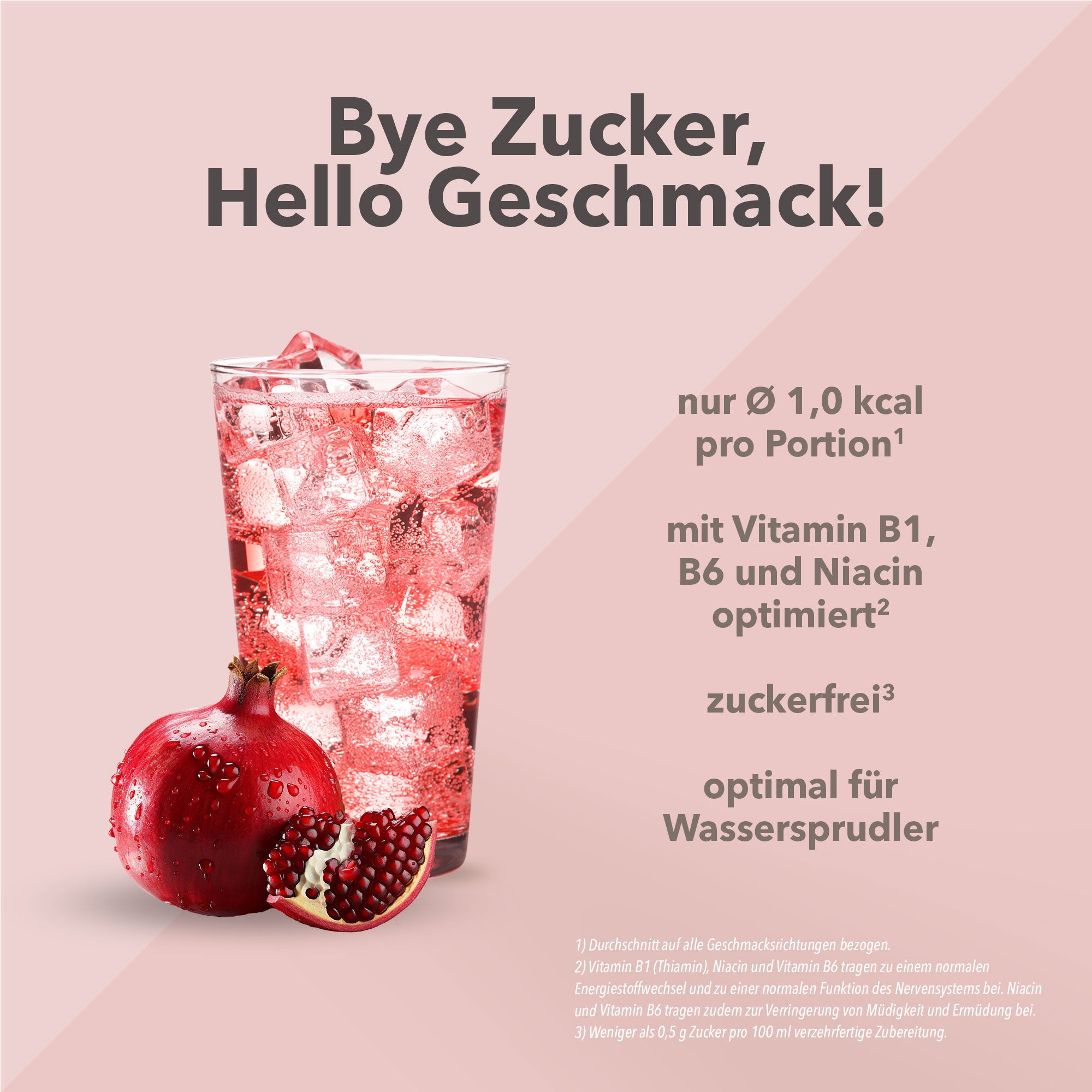 Vital Drink Zerop - Granatapfel Cranberry - 1000 ml Flasche#geschmack_granatapfel-cranberry