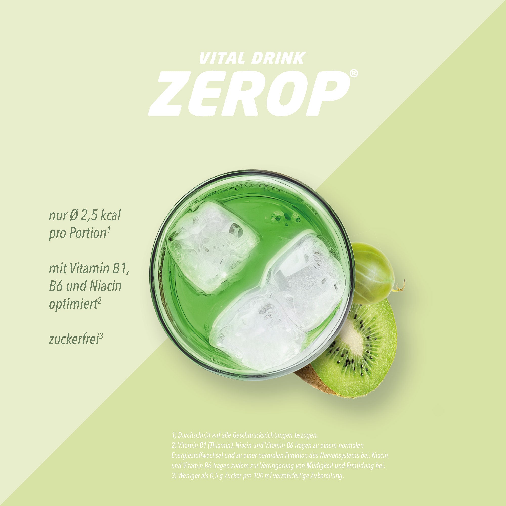 Vital Drink Zerop - Kiwi Stachelbeere - 1000 ml Flasche#geschmack_kiwi-stachelbeere