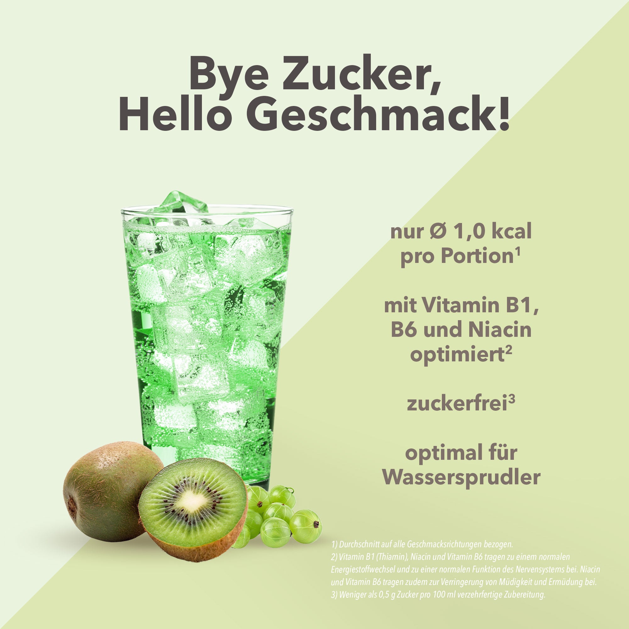 Vital Drink Zerop - Kiwi Stachelbeere - 1000 ml Flasche#geschmack_kiwi-stachelbeere