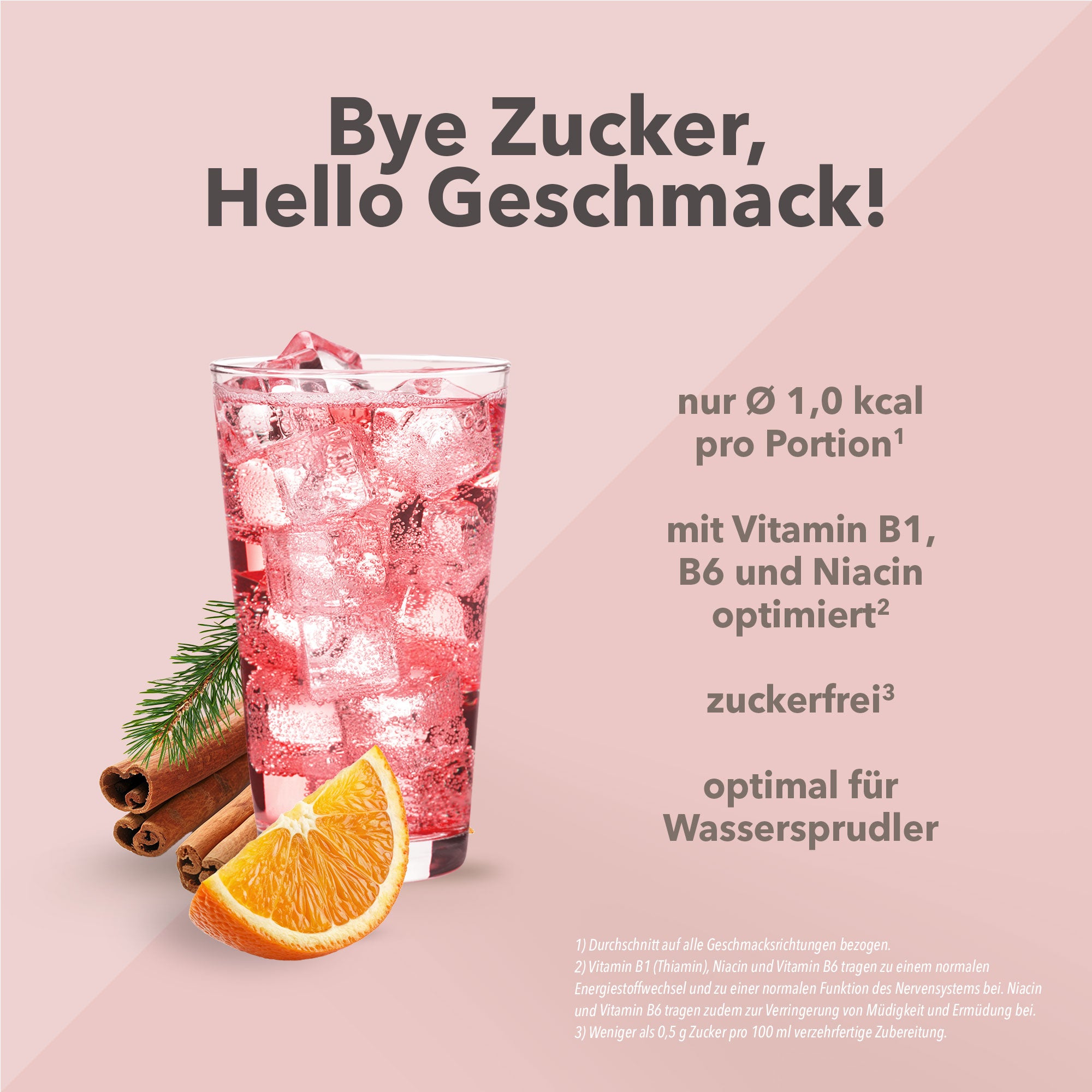 Vital Drink Zerop - Winter Punsch - 1000 ml Flasche#geschmack_winter-punsch