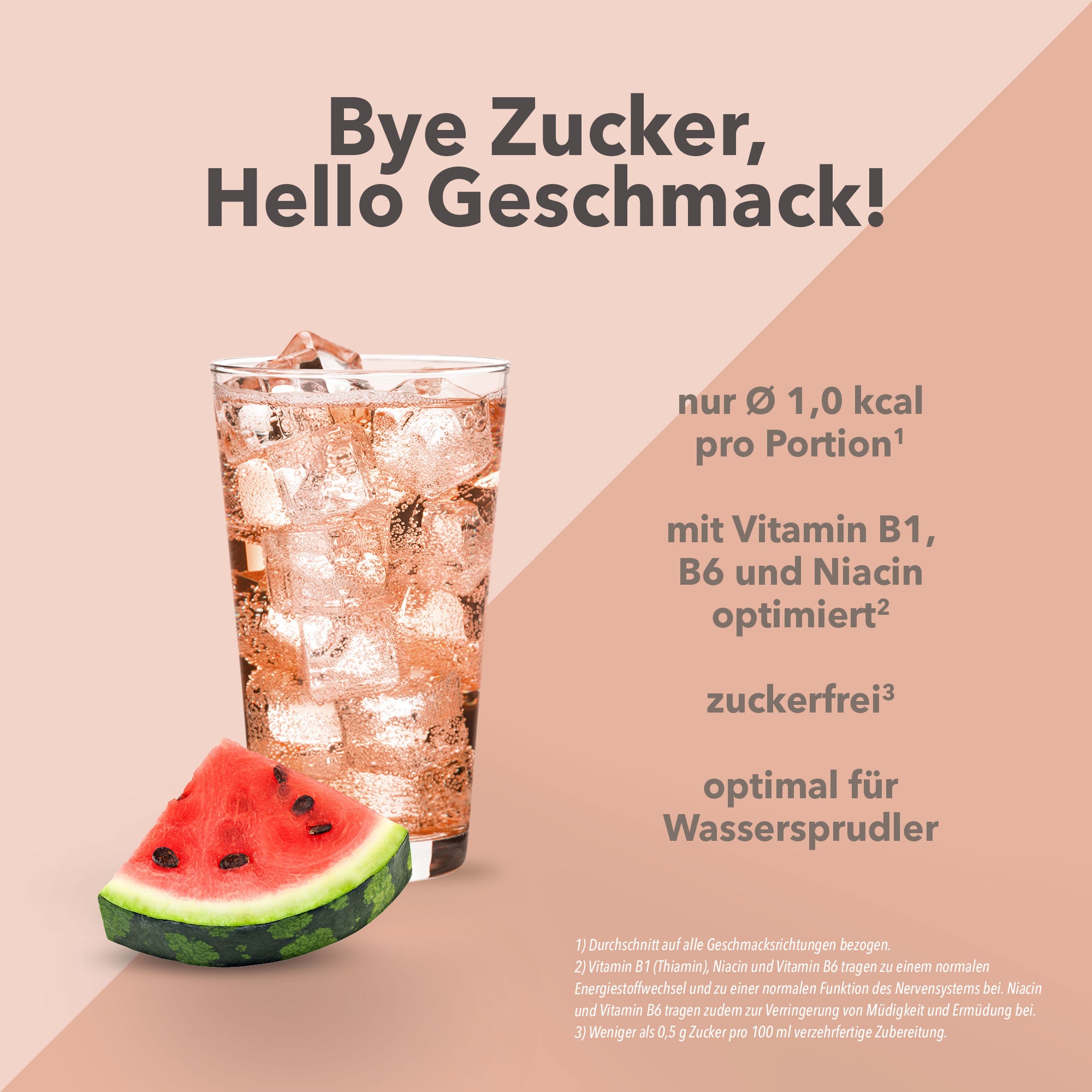 Vital Drink Zerop - Wassermelone - 1000 ml Flasche#geschmack_wassermelone