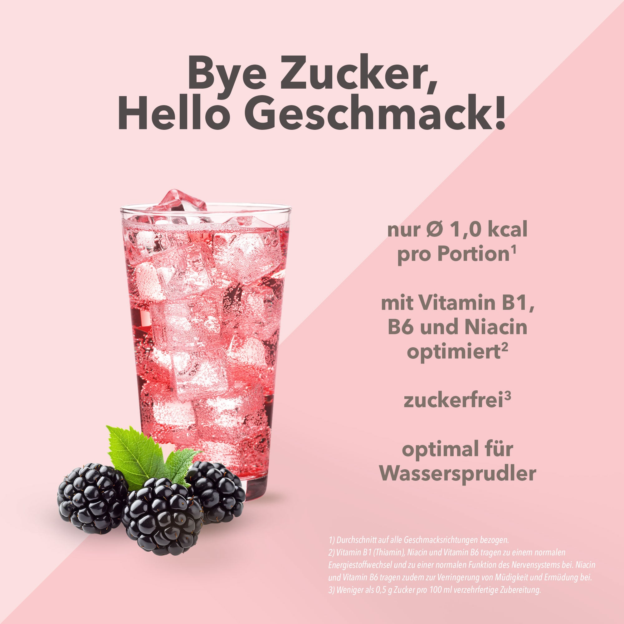 Vital Drink Zerop - Brombeere - 1000 ml Flasche#geschmack_brombeere