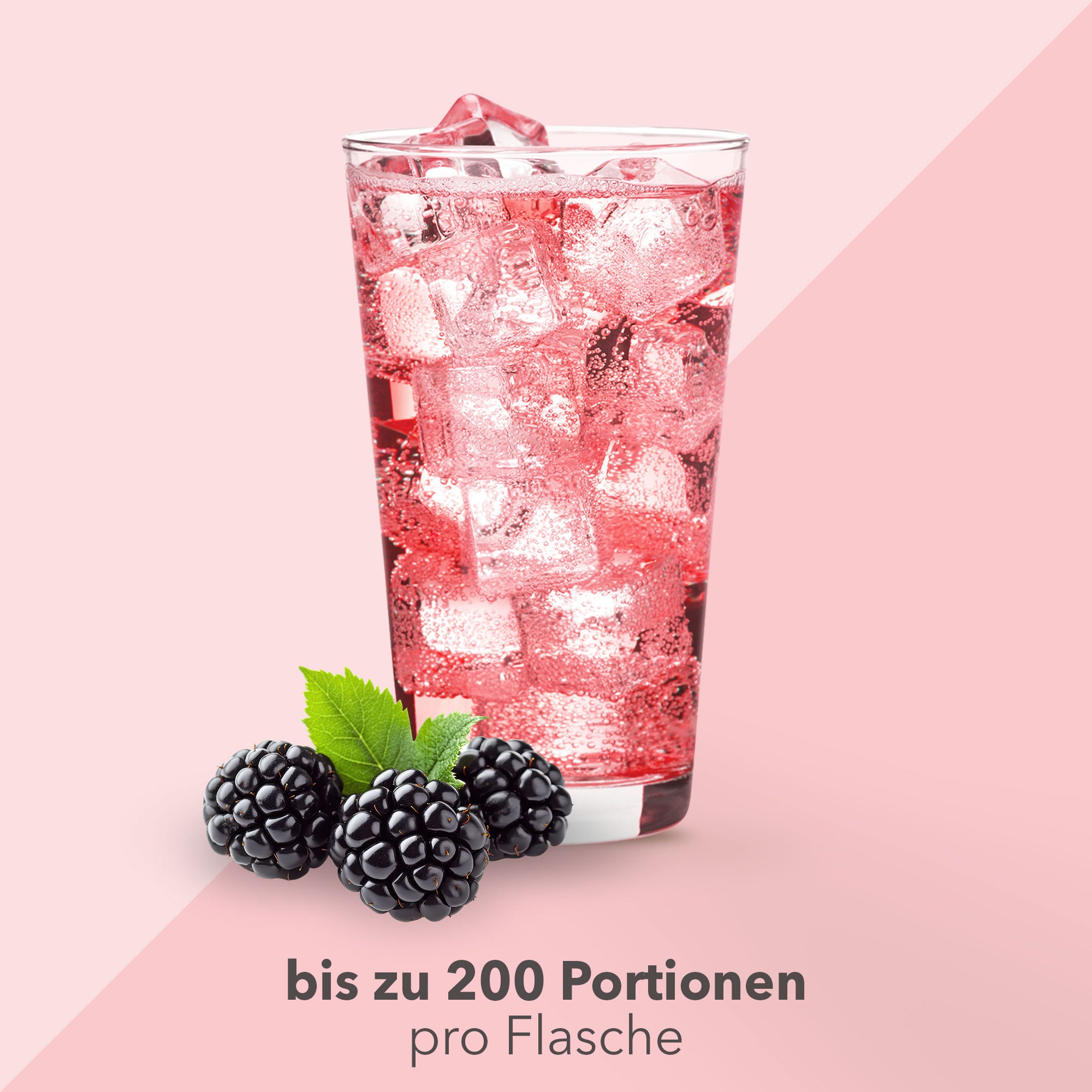 Vital Drink Zerop - Brombeere - 1000 ml Flasche#geschmack_brombeere