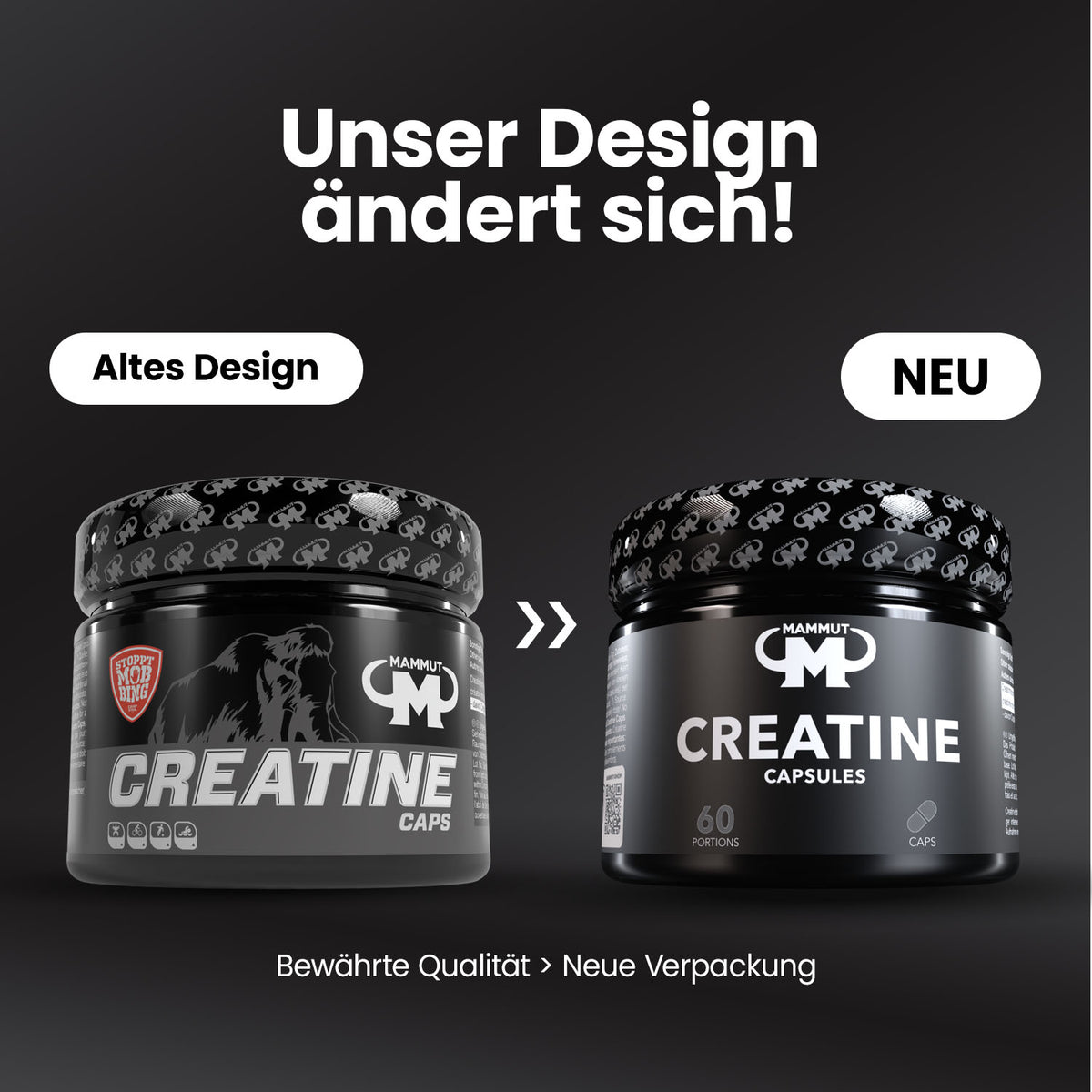 Creatine Caps - 240 Stück/Dose#_