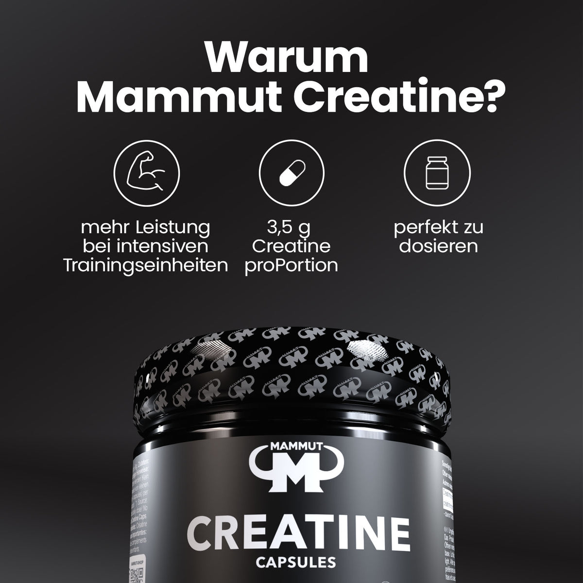 Creatine Caps - 240 Stück/Dose#_