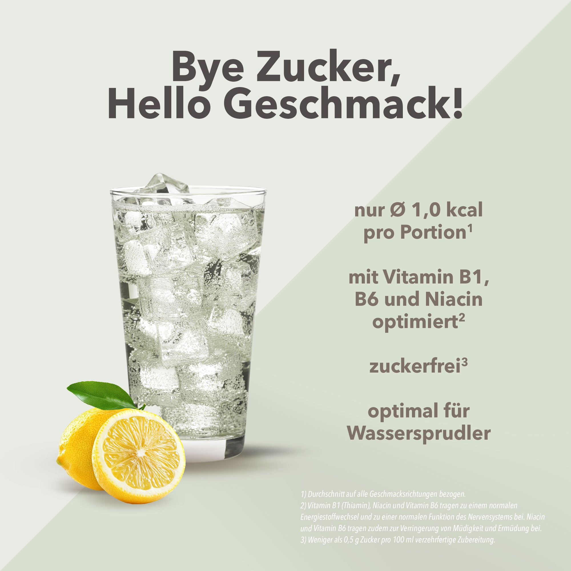 Vital Drink Zerop - Bitter Lemon - 1000 ml Flasche#geschmack_bitter-lemon