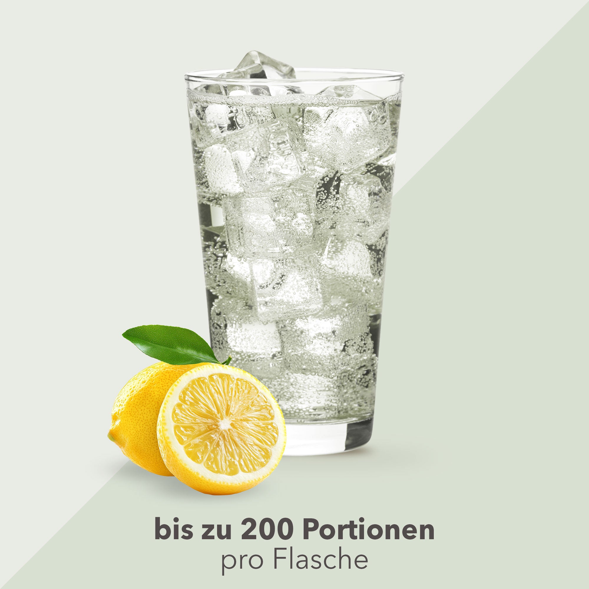 Vital Drink Zerop - Bitter Lemon - 1000 ml Flasche#geschmack_bitter-lemon