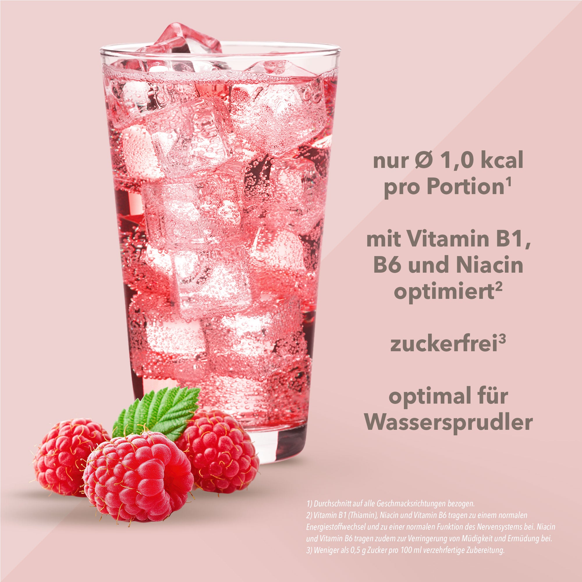 Vital Drink Zerop - Himbeere - 48 ml Squeeze Flasche#geschmack_himbeere