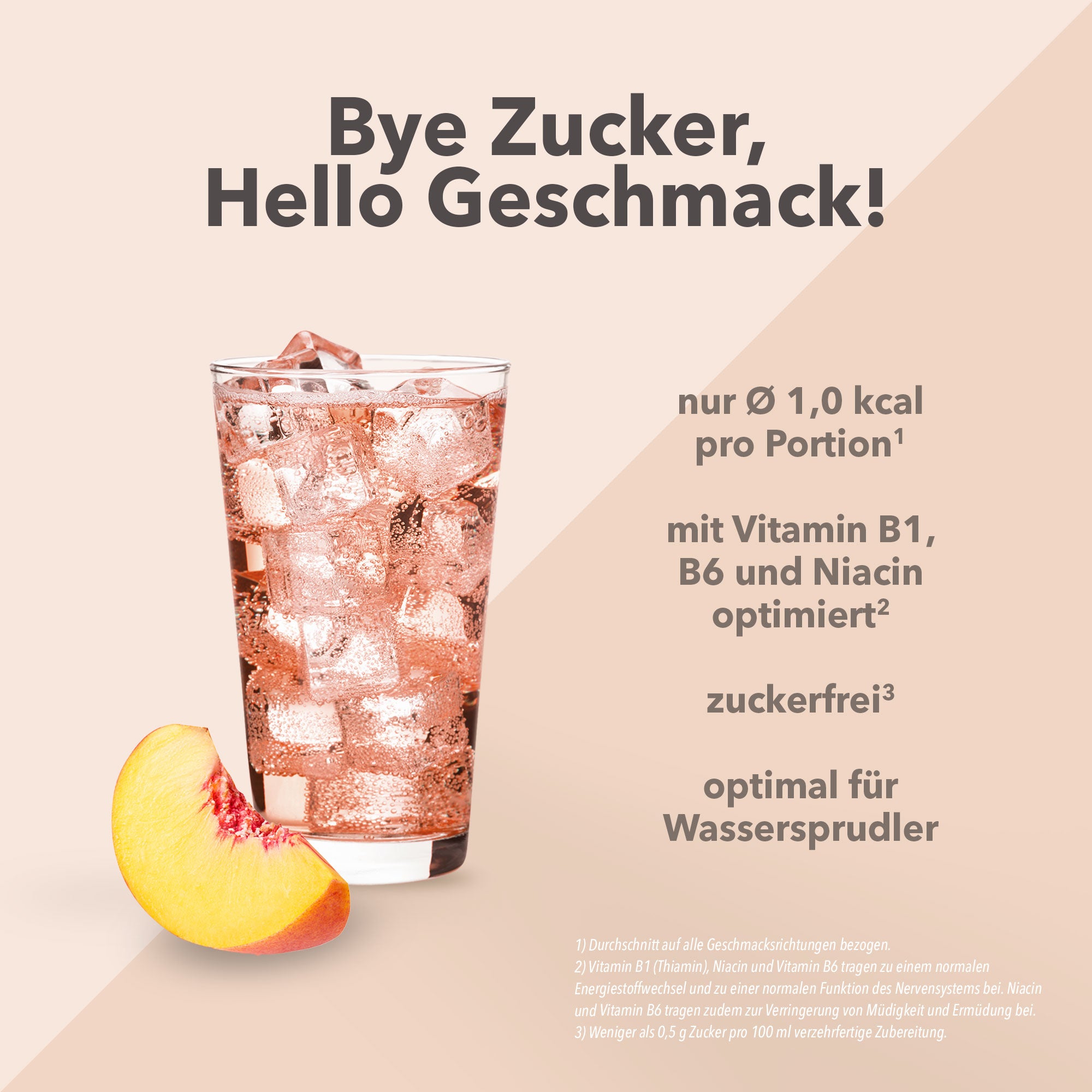 Vital Drink Zerop - Eistee Pfirsich - 1000 ml Flasche#geschmack_eistee-pfirsich