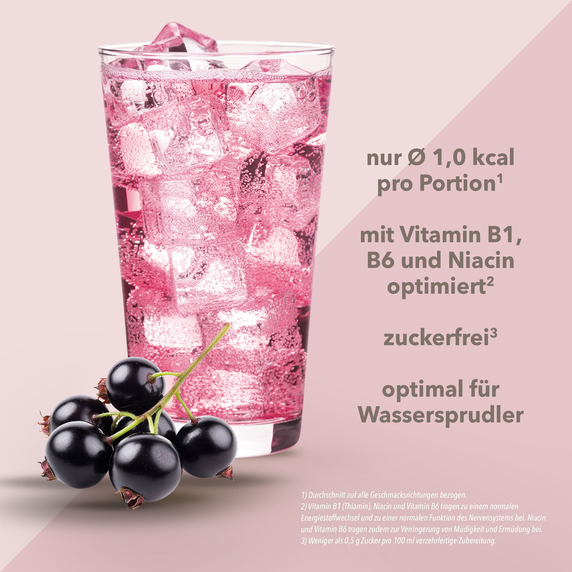Vital Drink Zerop - Schwarze Johannisbeere - 48 ml Squeeze Flasche#geschmack_schwarze-johannisbeere