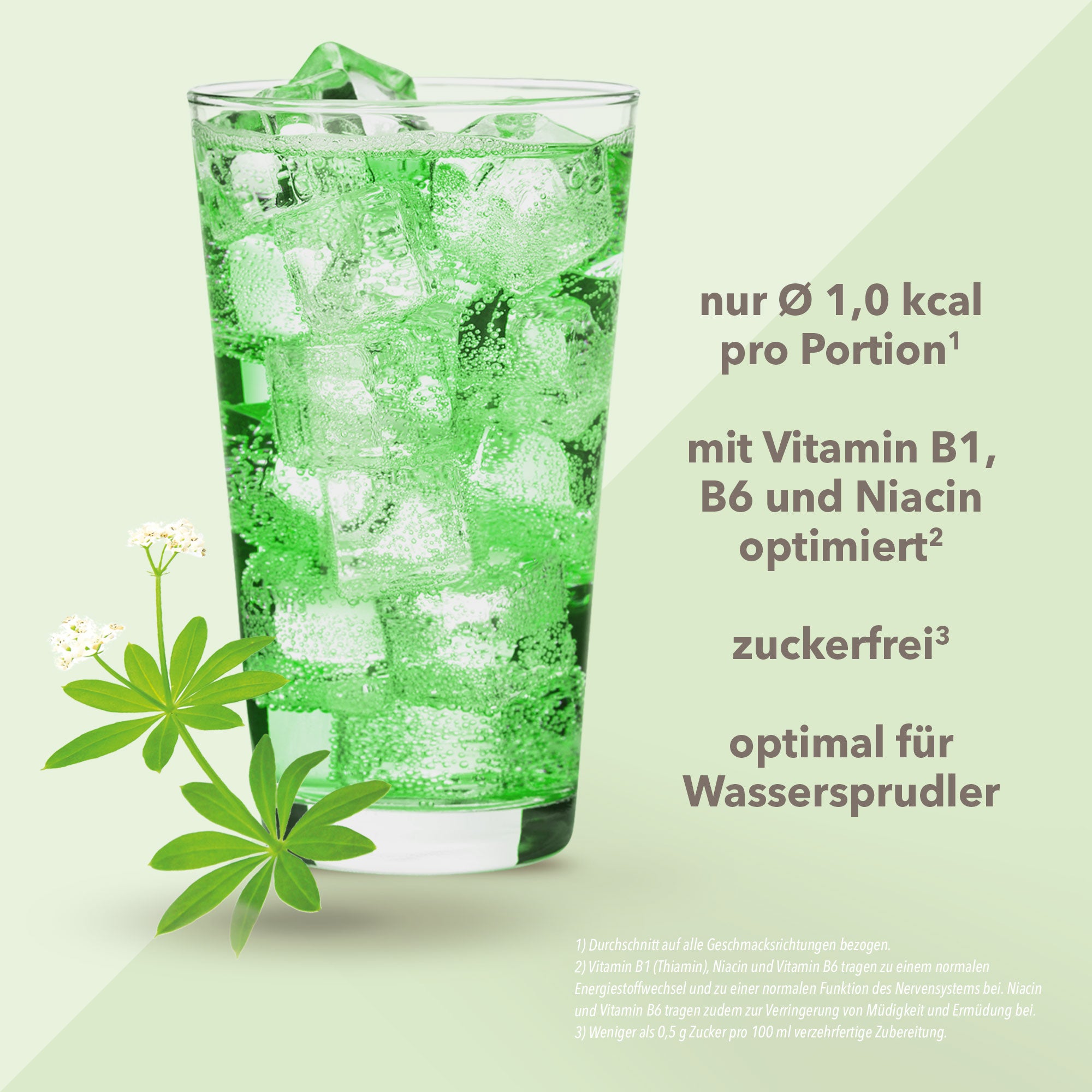 Vital Drink Zerop - Waldmeister - 48 ml Squeeze Flasche#geschmack_waldmeister