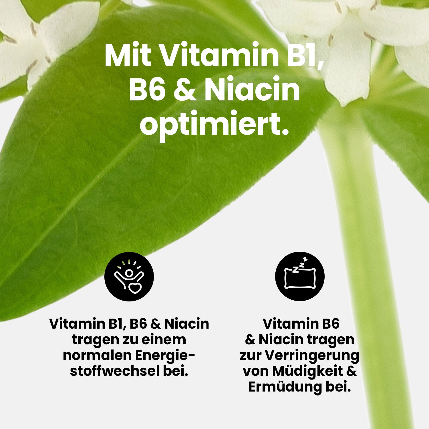 Vital Drink Zerop - Waldmeister - 48 ml Squeeze Flasche#geschmack_waldmeister