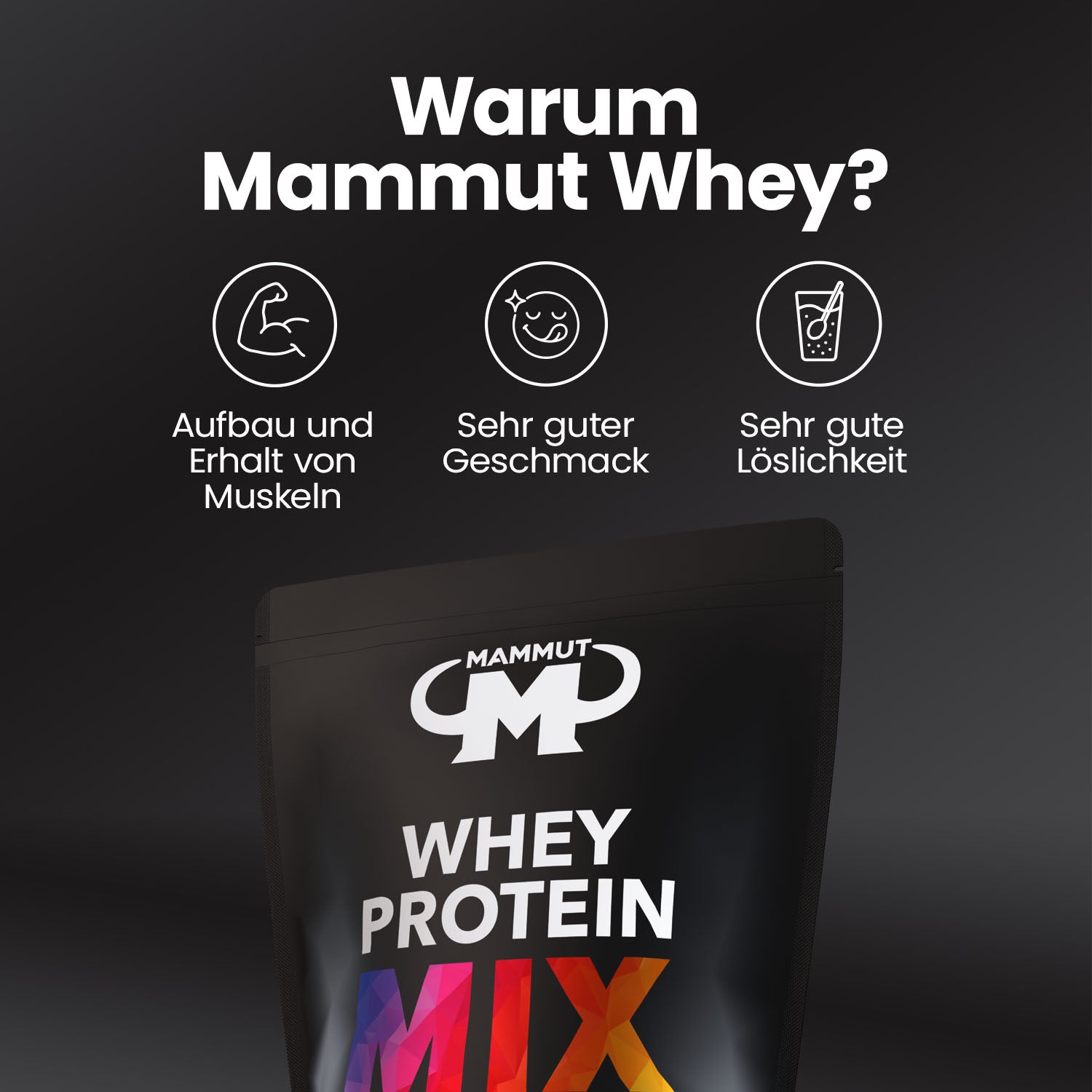 Whey Protein - Mix Beutel - 10 x 25 g Portionsbeutel - verpackt im Zipp#_