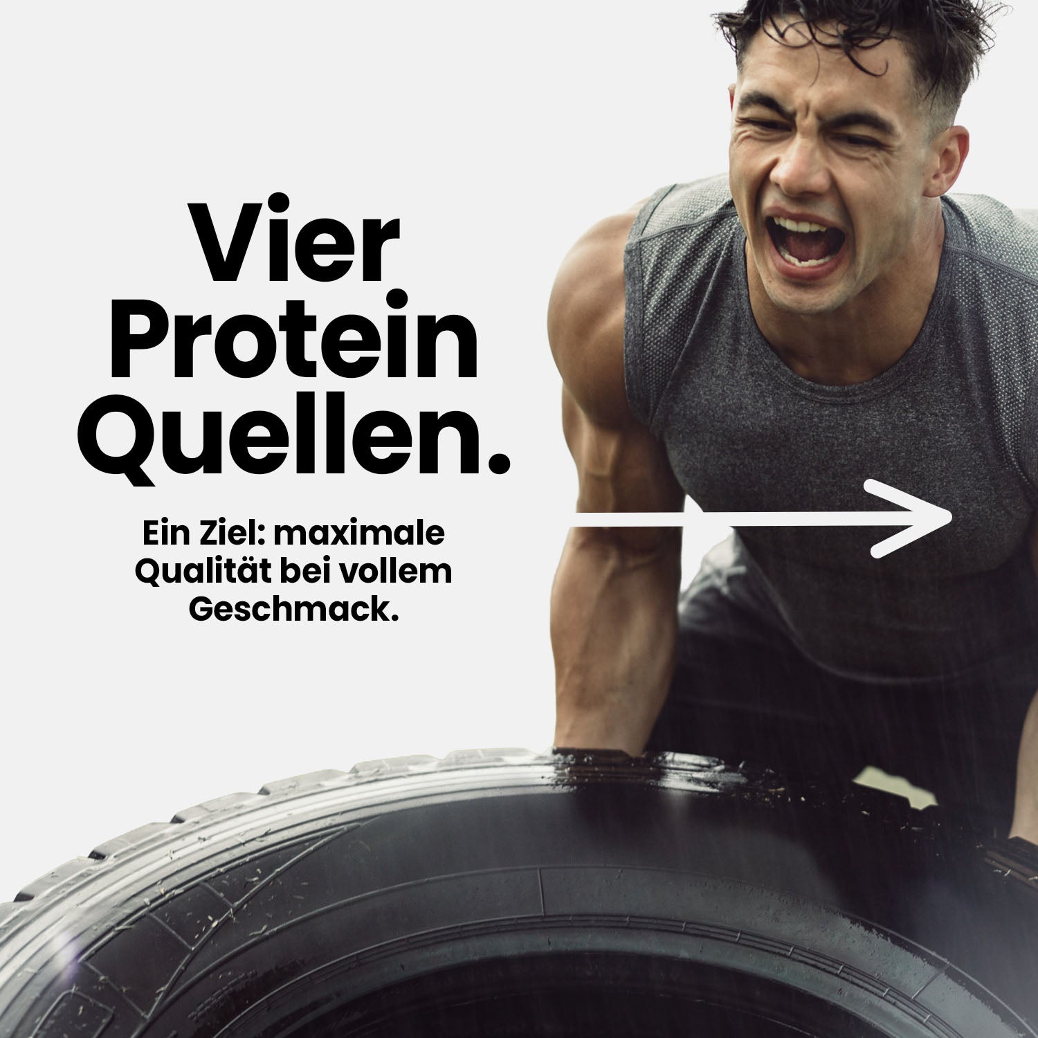 Gourmet Premium Pro Protein - Stracciatella - 500 g Dose#geschmack_stracciatella