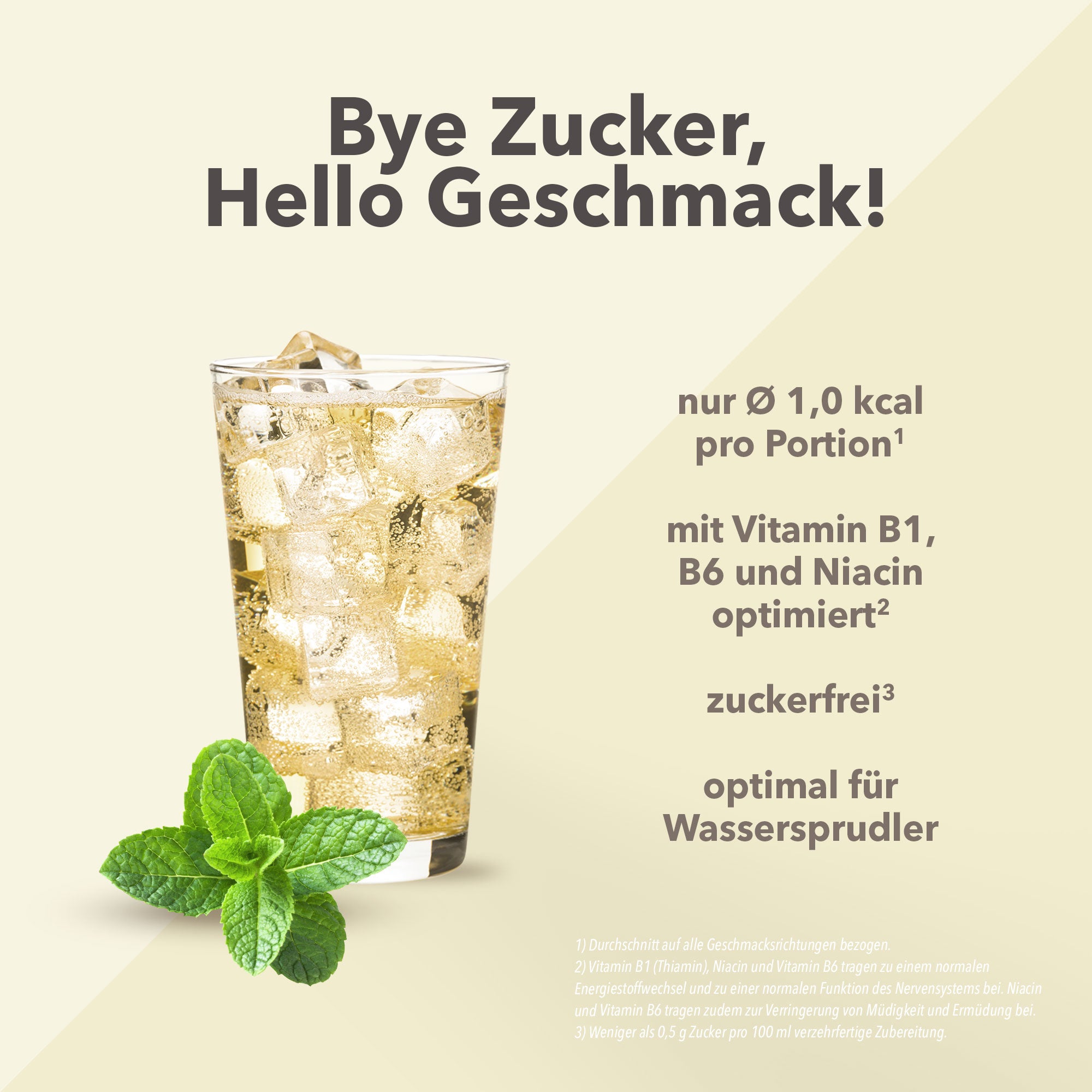 Vital Drink Zerop - Kräuterlimonade - 1000 ml Flasche#geschmack_kr-uterlimonade
