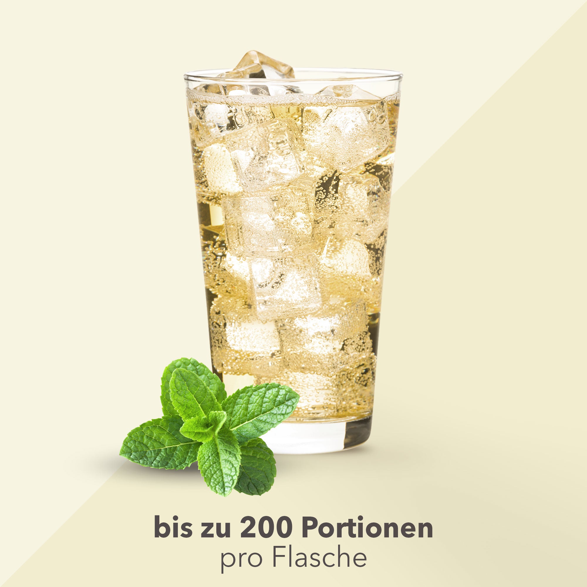 Vital Drink Zerop - Kräuterlimonade - 1000 ml Flasche#geschmack_kr-uterlimonade