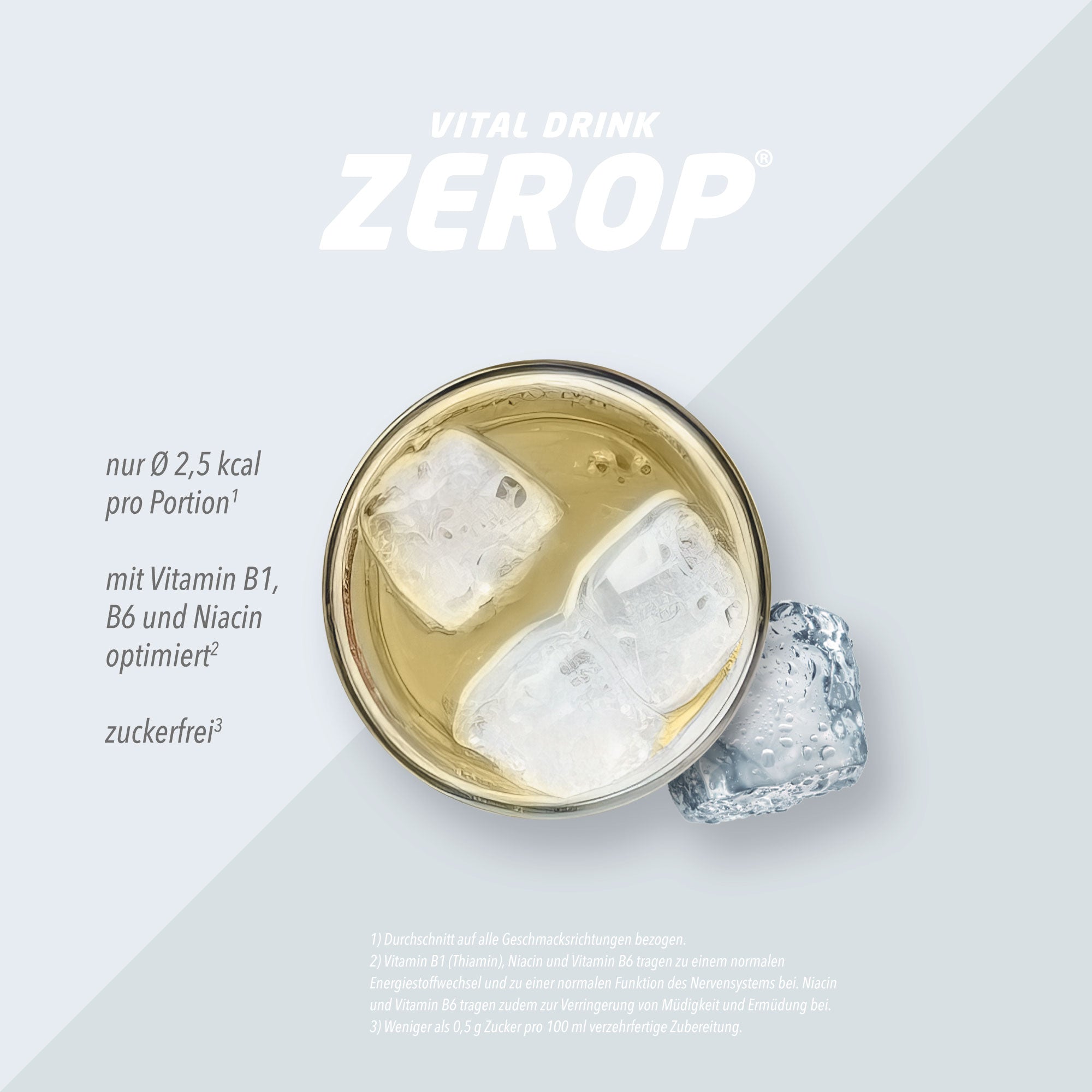 Vital Drink Zerop - Ginger Ale - 1000 ml Flasche#geschmack_ginger-ale