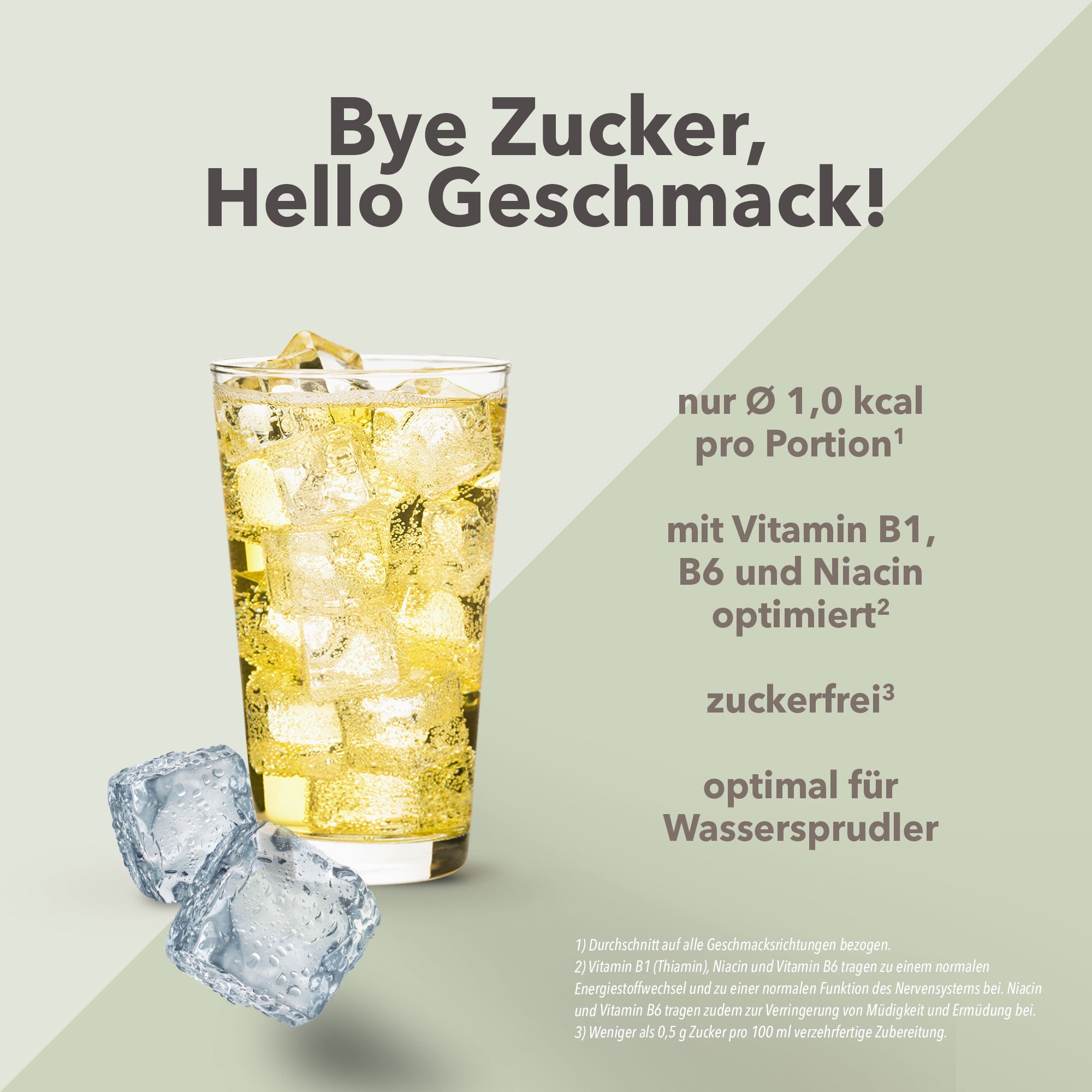 Vital Drink Zerop - Ginger Ale - 1000 ml Flasche#geschmack_ginger-ale