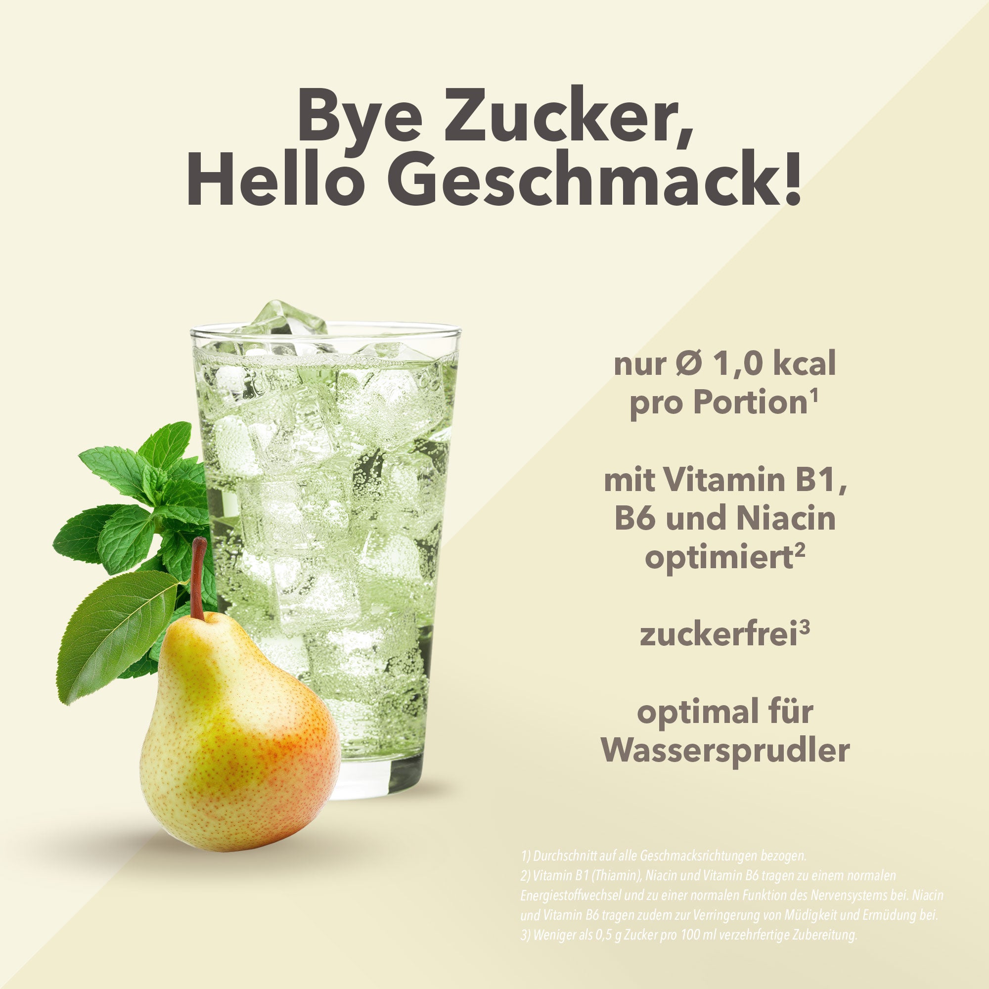 Vital Drink Zerop - Birne Melisse - 1000 ml Flasche#geschmack_birne-melisse