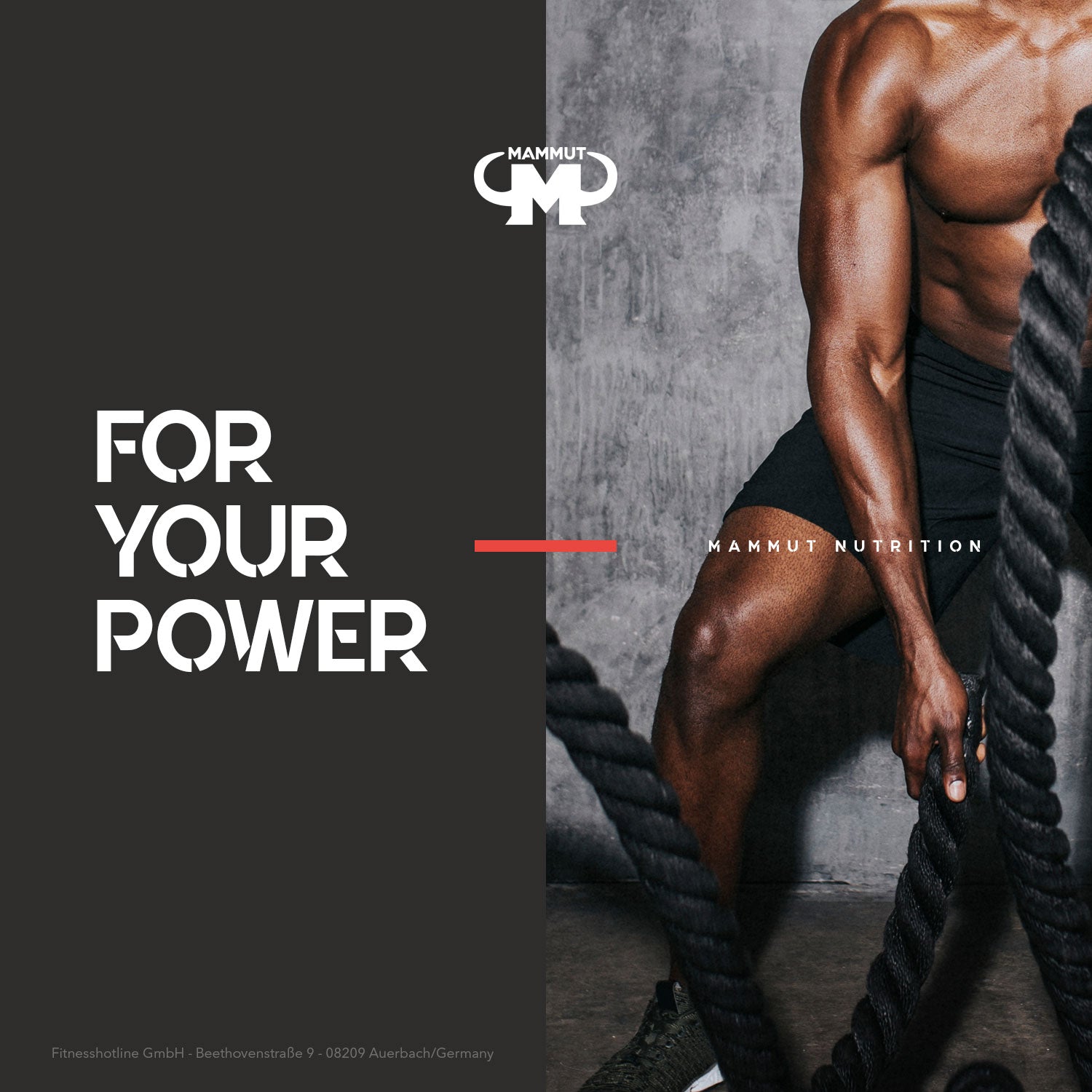 Vegan Protein - Nougat - 460 g Dose#geschmack_nougat