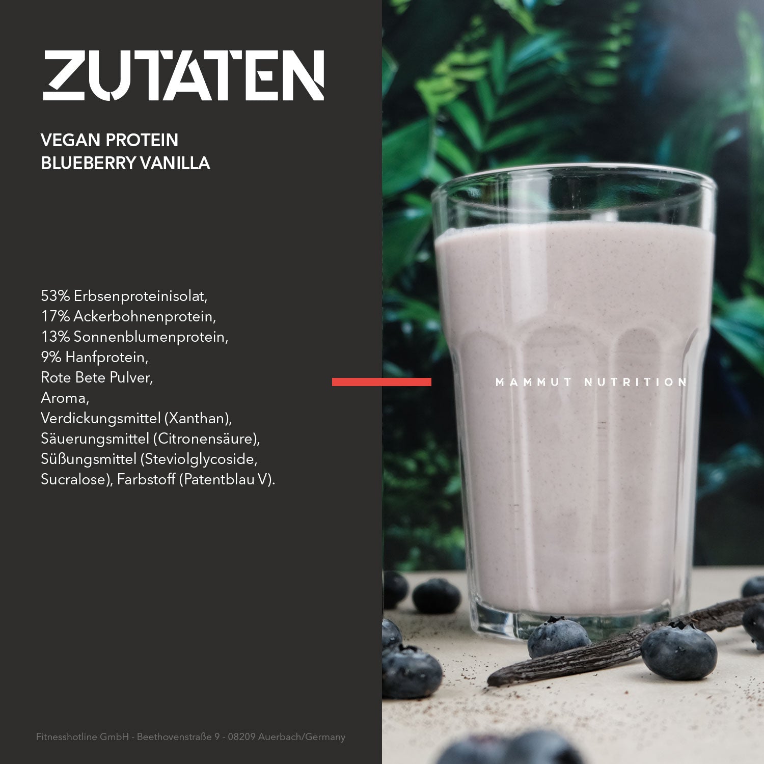 Vegan Protein - Blueberry Vanilla - 460 g Dose#geschmack_blueberry-vanilla