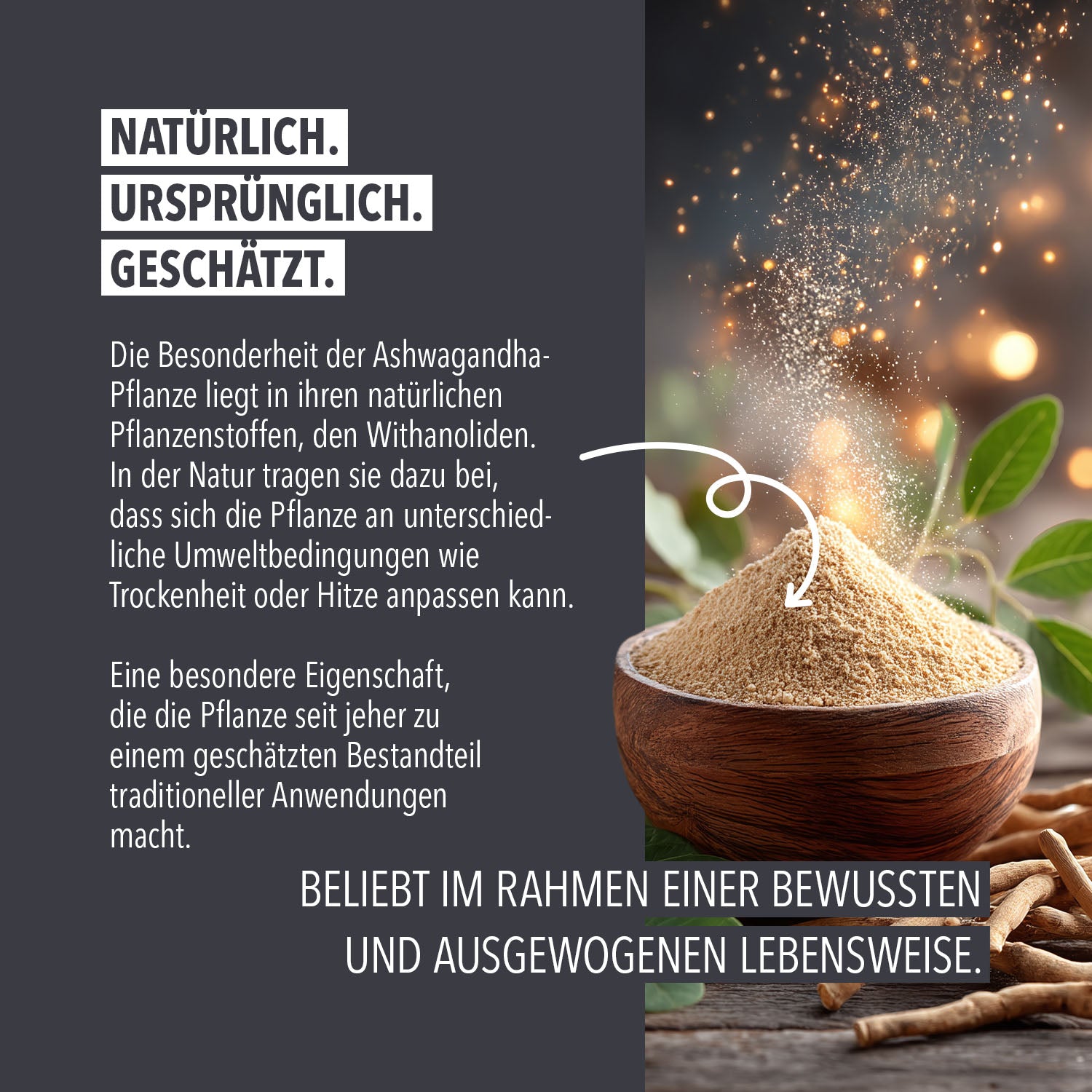 Bio Ashwagandha Kapseln - 60 Stück/Dose#_