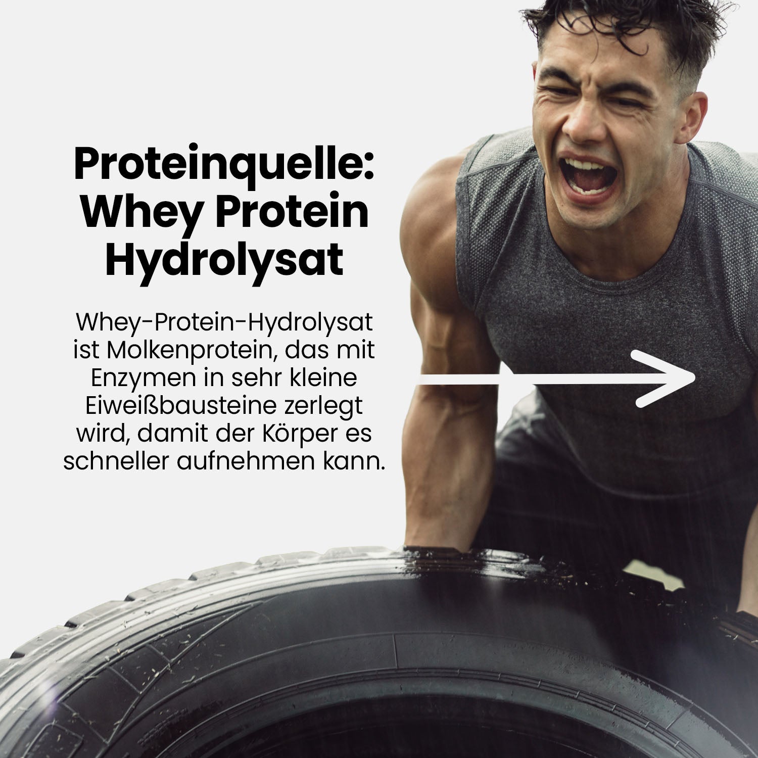 Clear Water Whey Drink - RTD - Exotic - 500 ml PET Flasche#geschmack_exotic