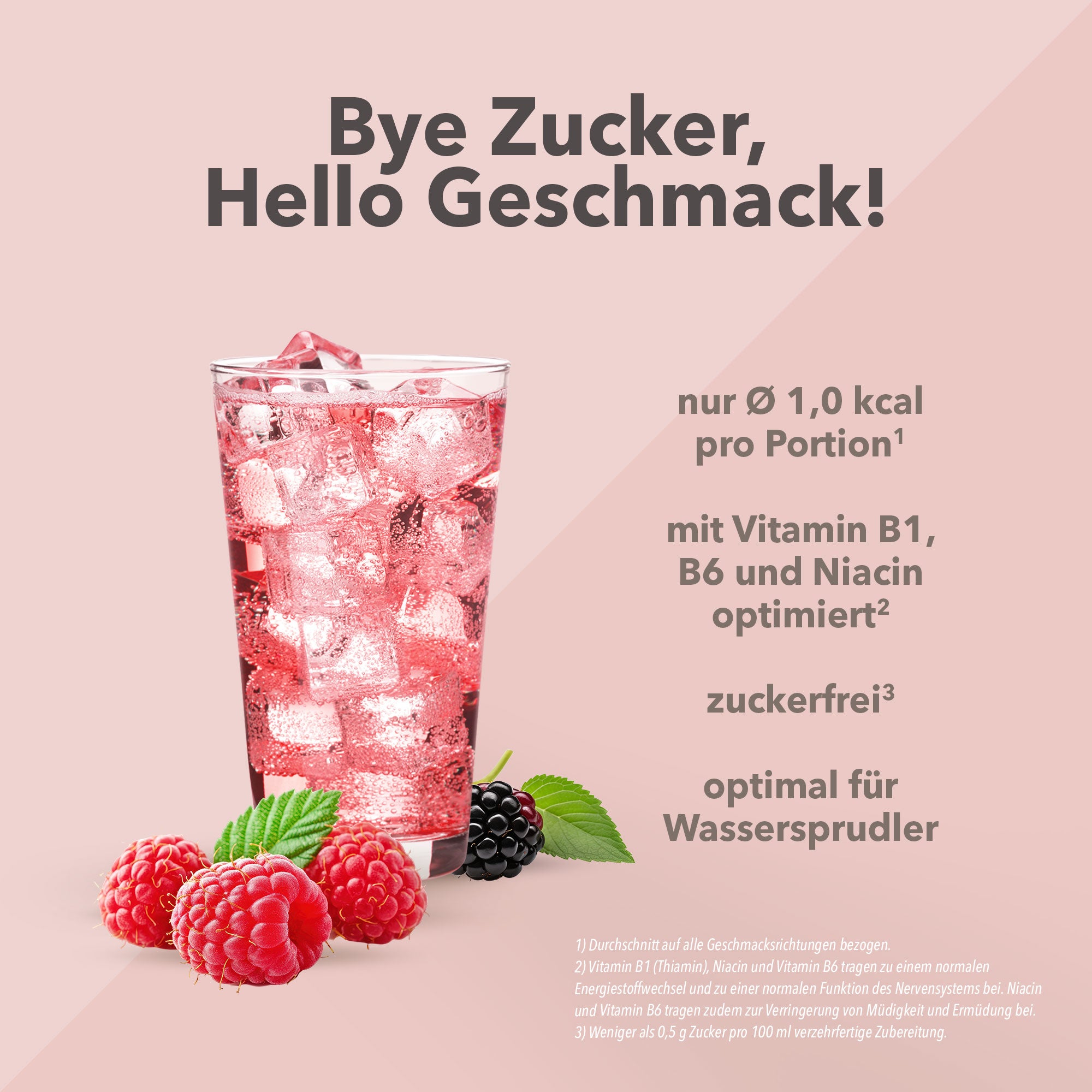 Vital Drink Zerop - Waldfrucht - 1000 ml Flasche#geschmack_waldfrucht