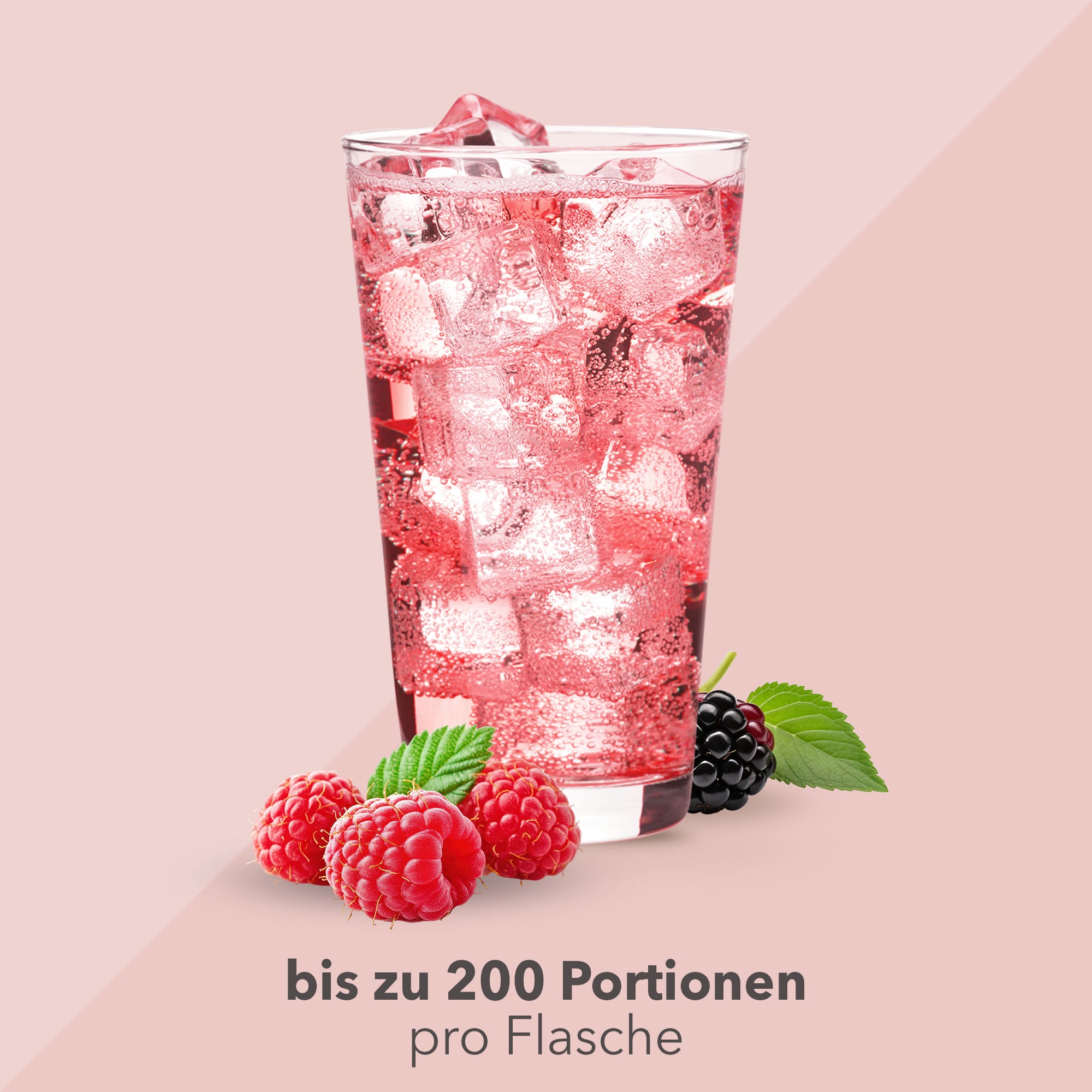 Vital Drink Zerop - Waldfrucht - 1000 ml Flasche#geschmack_waldfrucht