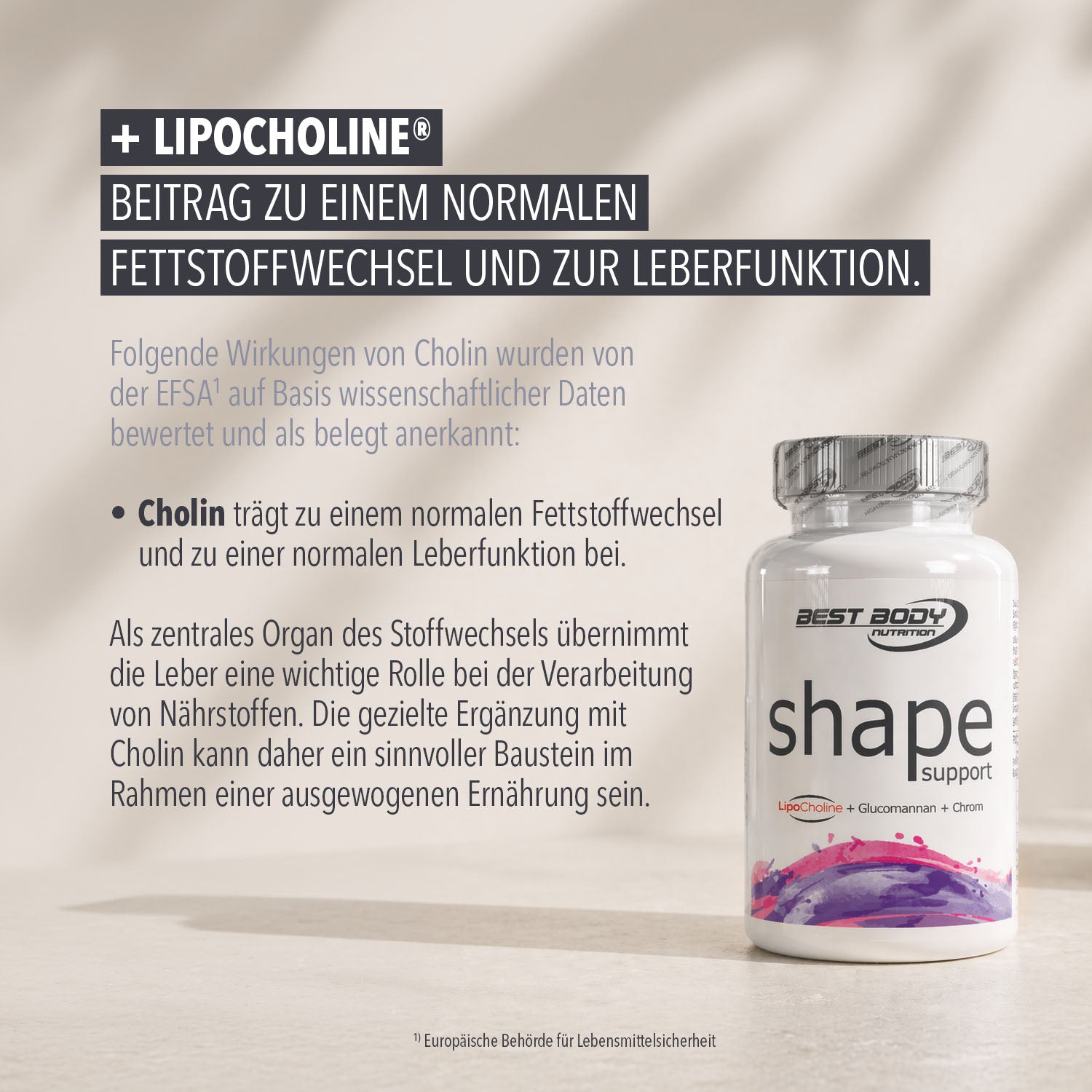 Shape Support - Caps - 90 Stück/Dose#_